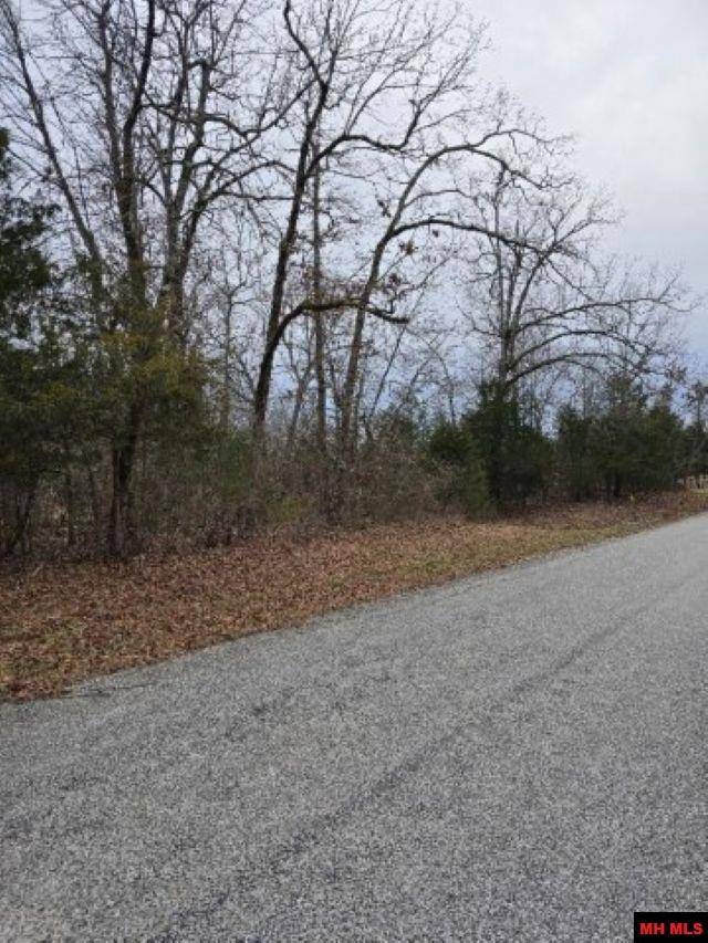 Elizabeth, AR 72531,554 CR 93