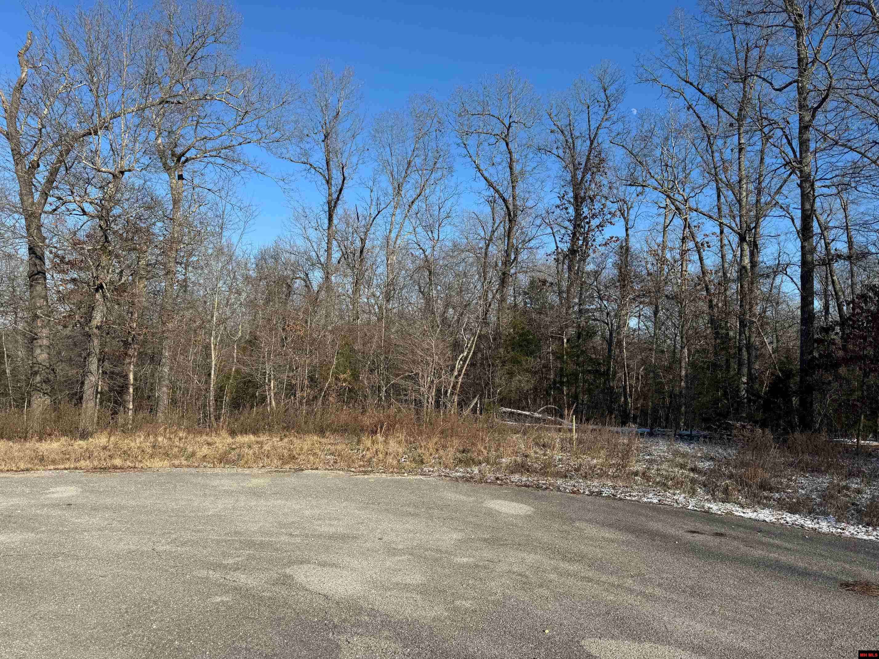 Mountain Home, AR 72653,001-05920-000 BOULDER CREEK COURT