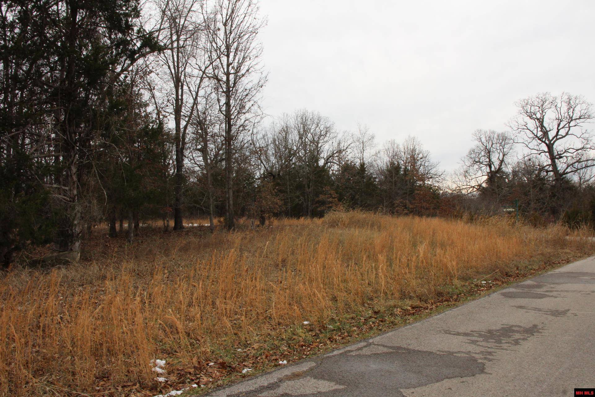 Flippin, AR 72634,Lot 22 JEB ROAD