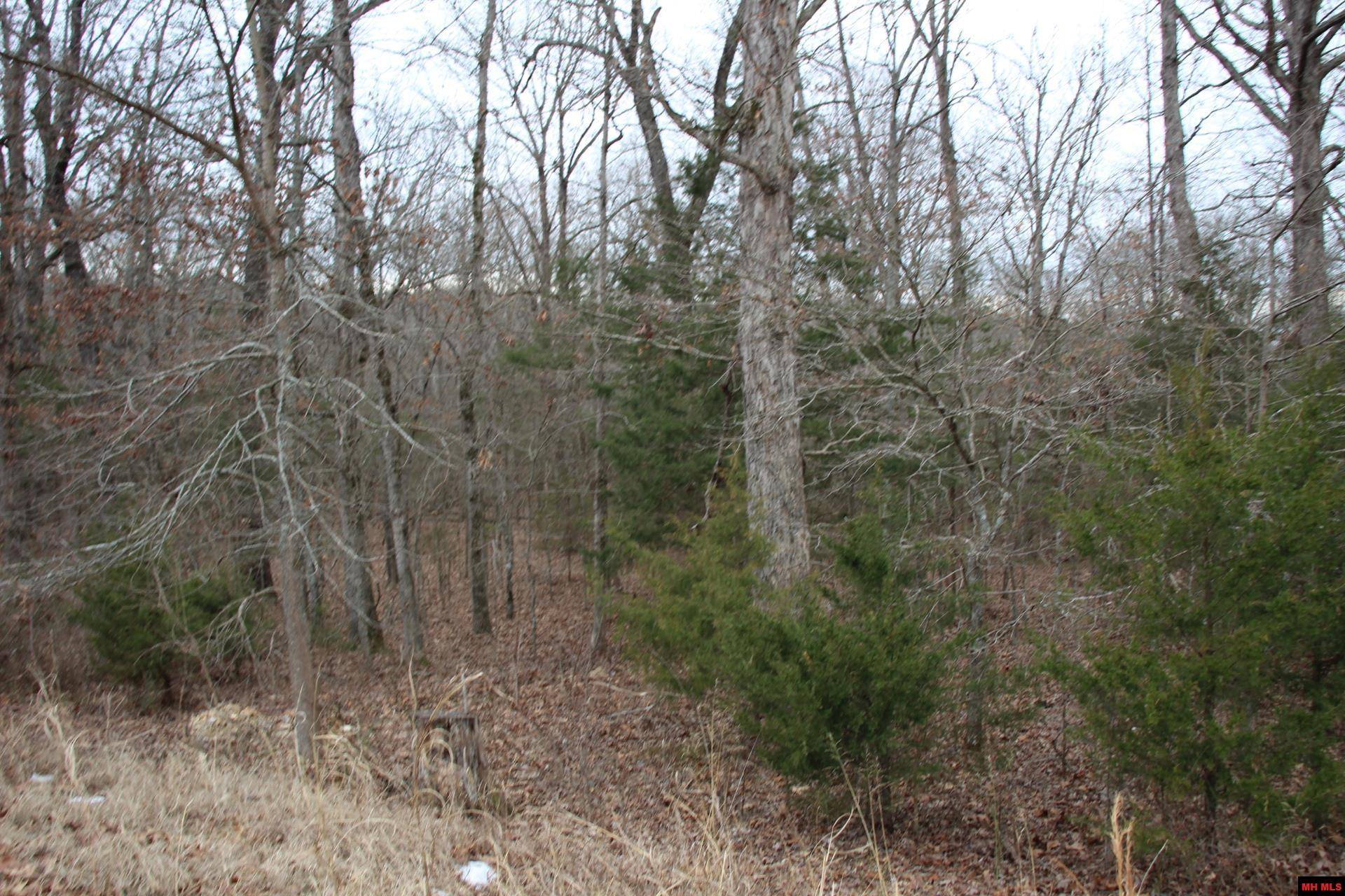 Flippin, AR 72634,Lot 25 JEB ROAD