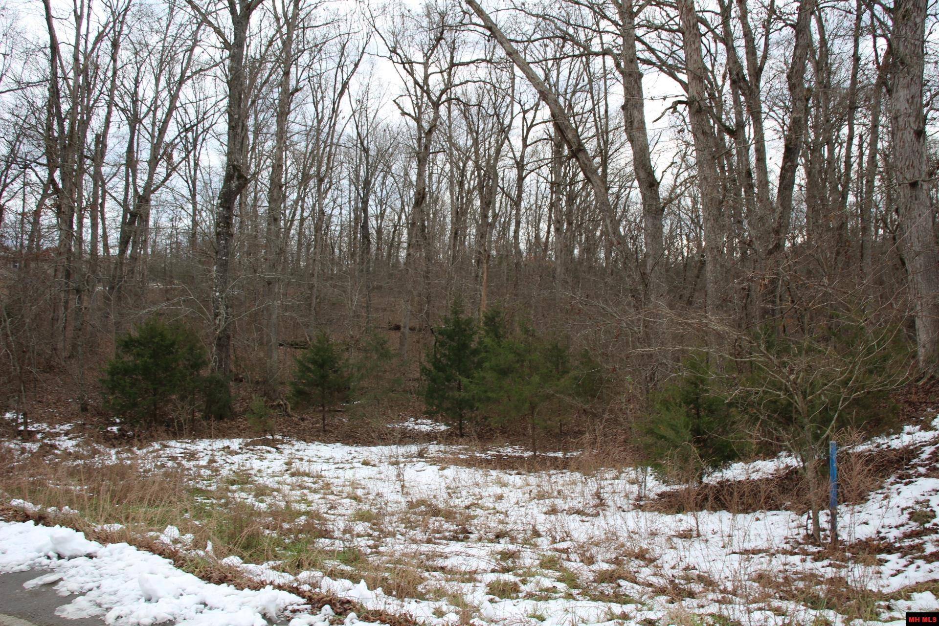 Flippin, AR 72634,Lot 34 ELLY LANE
