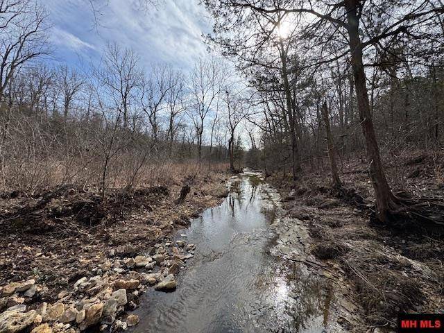 Clarkridge, AR 72623,001-07416-000 HWY 201 NORTH
