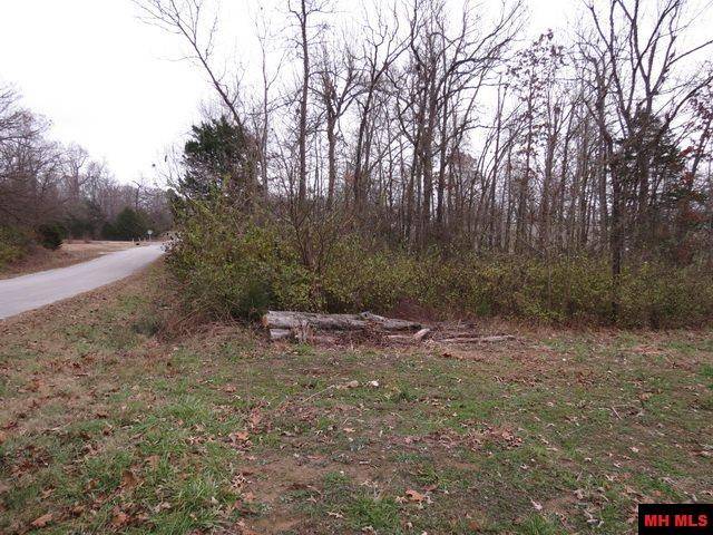 Bull Shoals, AR 72619,760-11982-000 MAPLE AVENUE