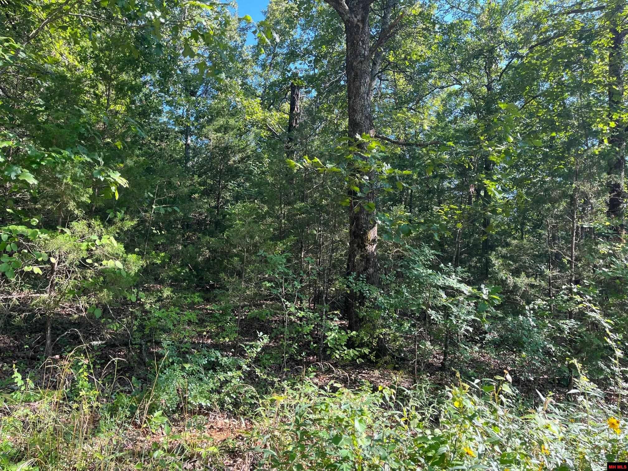 Midway, AR 72651,Lot 45 HOURGLASS DRIVE