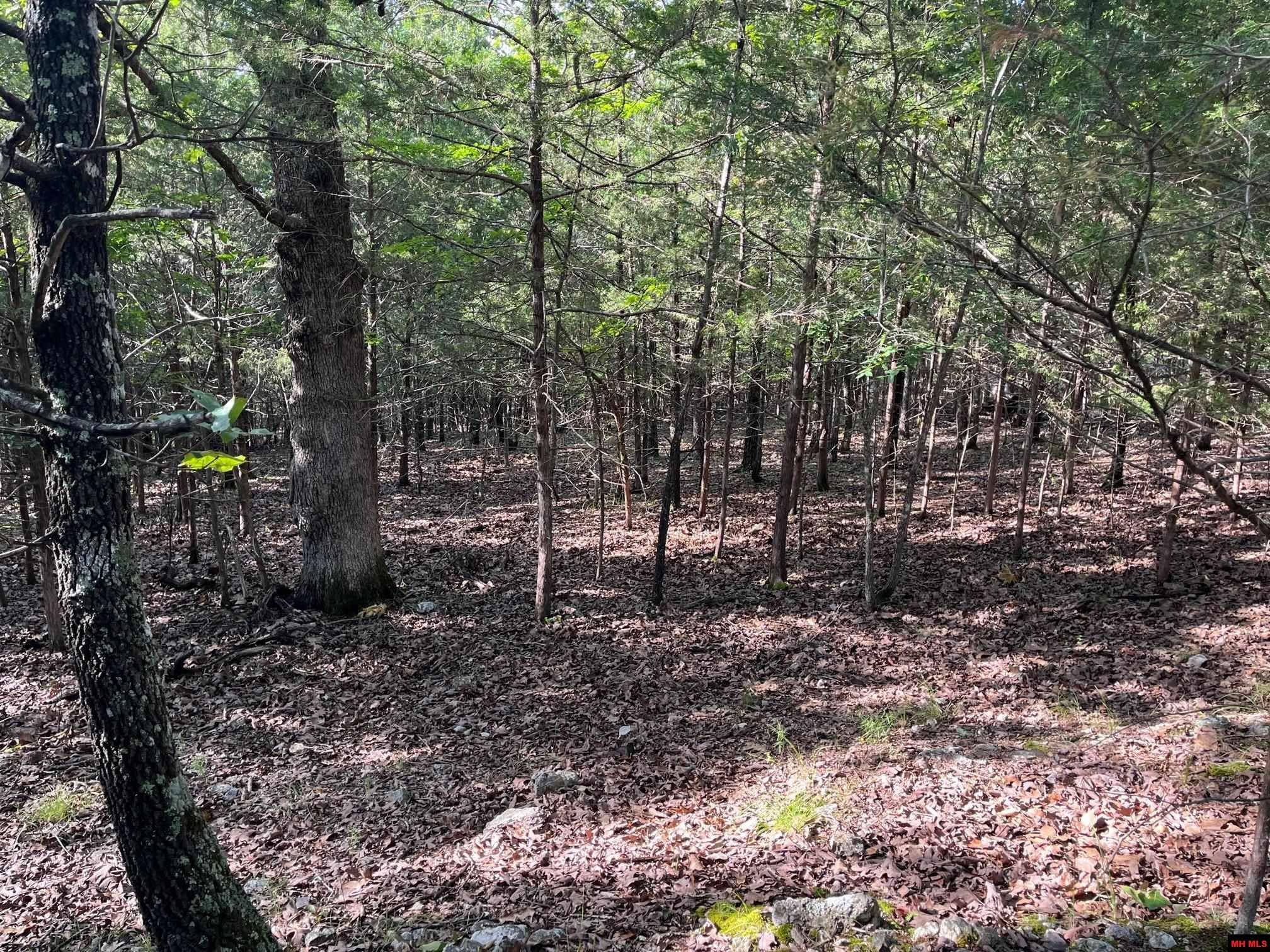 Promise Land, AR 72653,N1/2 Lot 5,Lot6 MC 185