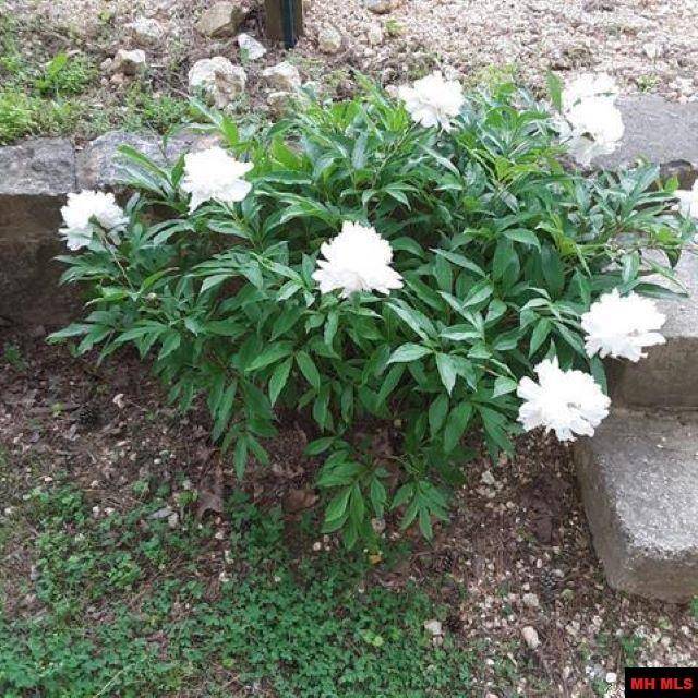 Hardy, AR 72542,282 E ROCK CLIFF DRIVE