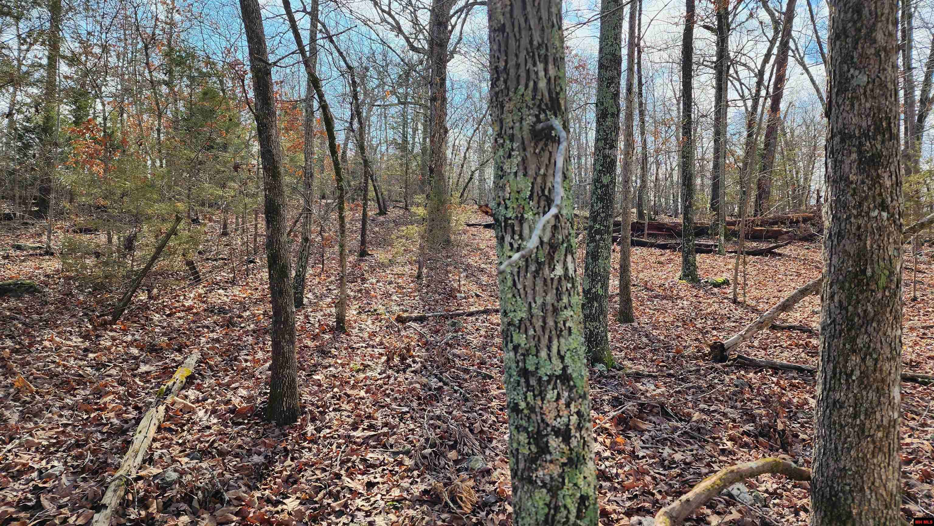 Bull Shoals, AR 72619,00 CENTRAL BOULEVARD