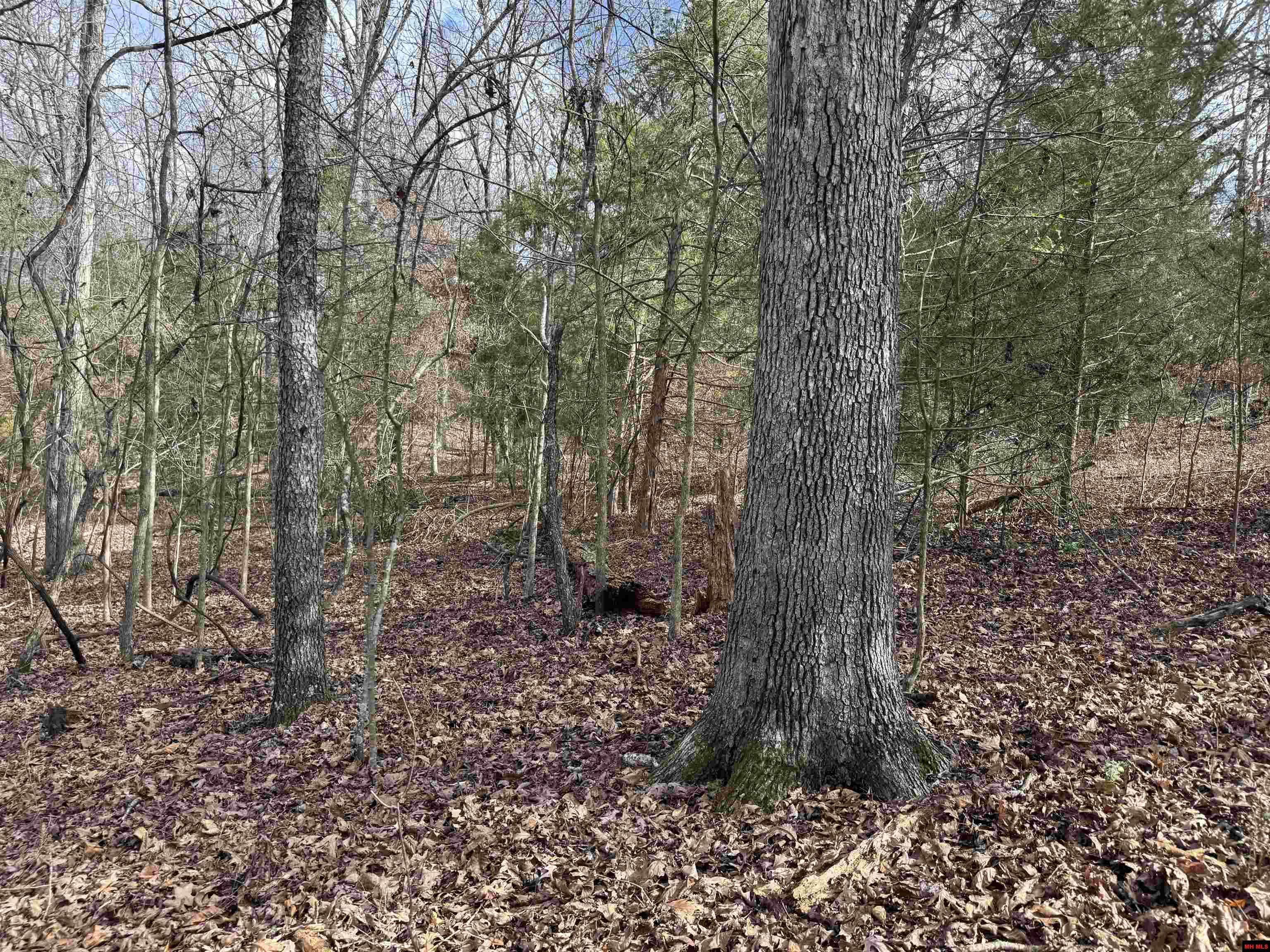 Bull Shoals, AR 72619,ALTA VISTA DRIVE
