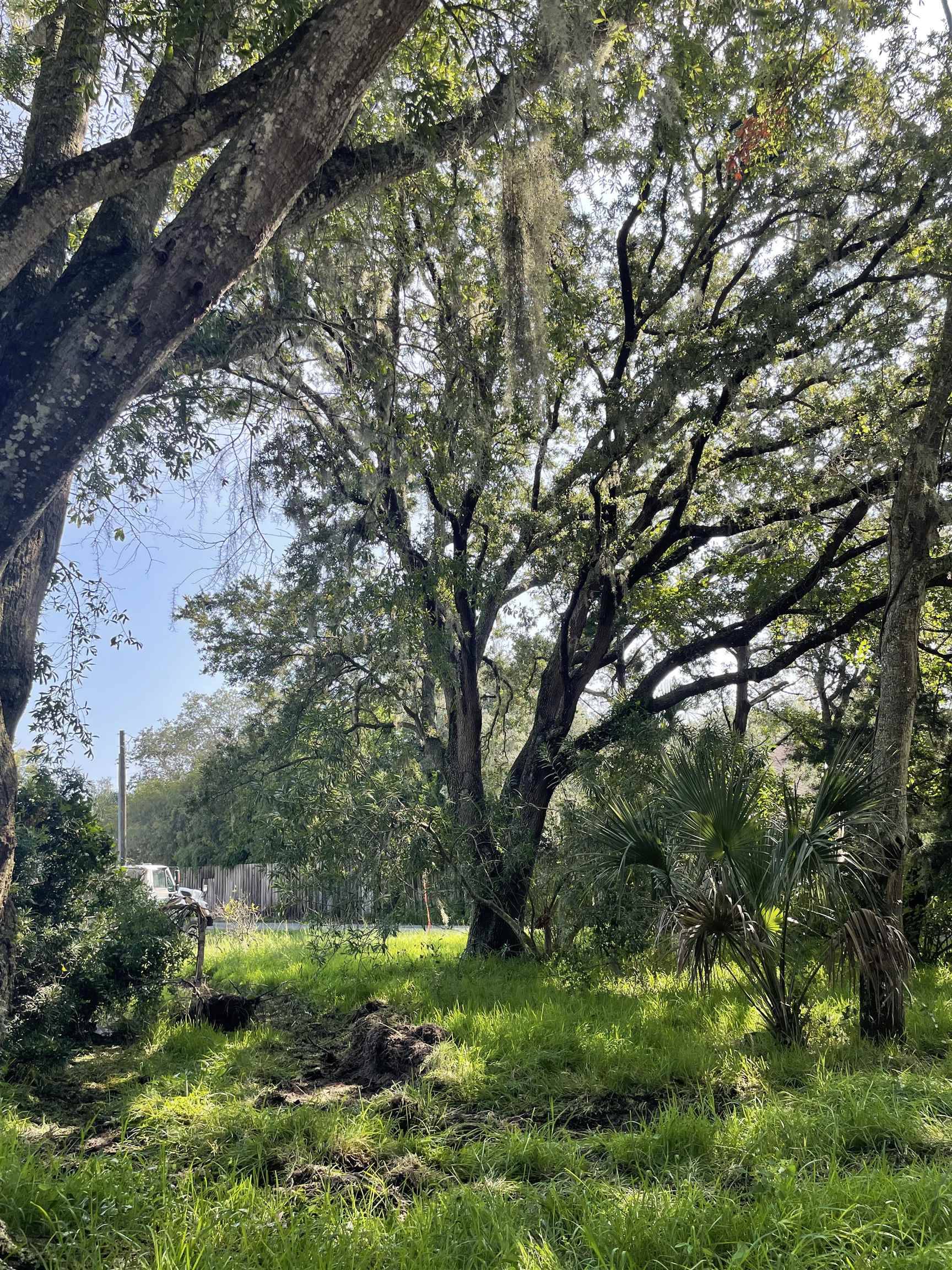 St Augustine Beach, FL 32080,Madrid St Lot 1