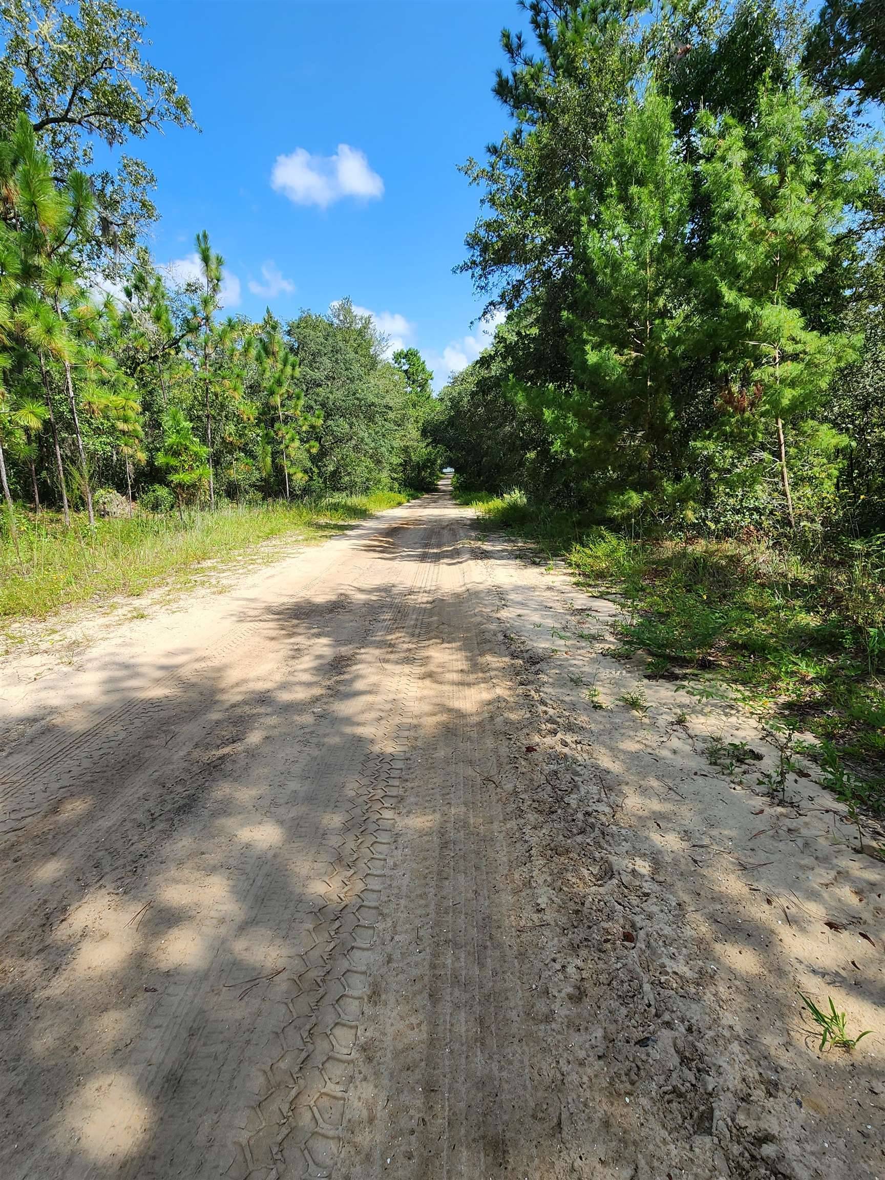 Florahome, FL 32140,137 Marion St
