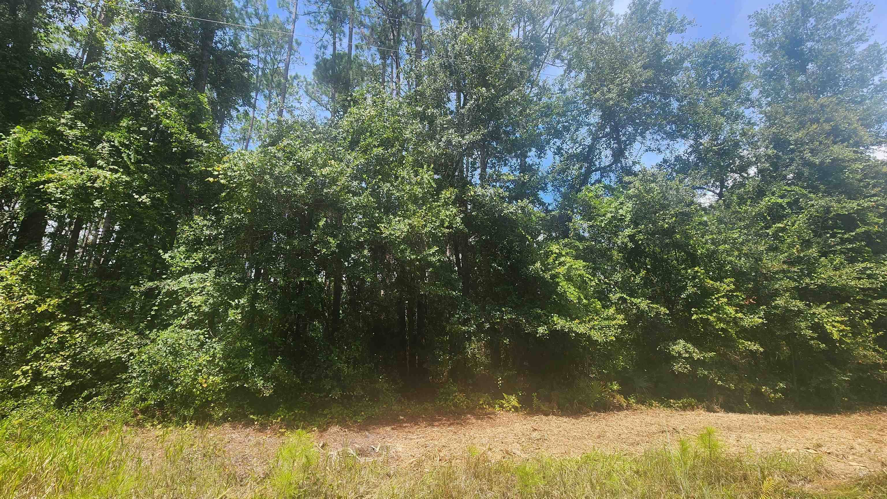 Georgetown, FL 32139,112 2Nd St
