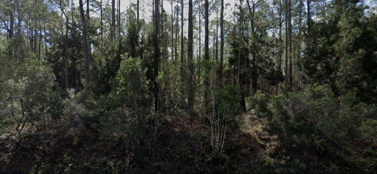 Hastings, FL 32145,4345 Vicki St