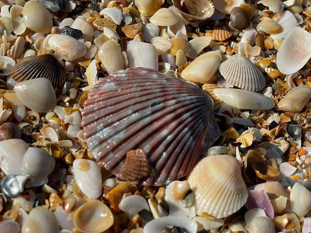 Ponte Vedra Beach, FL 32082,3081 S Ponte Vedra Blvd