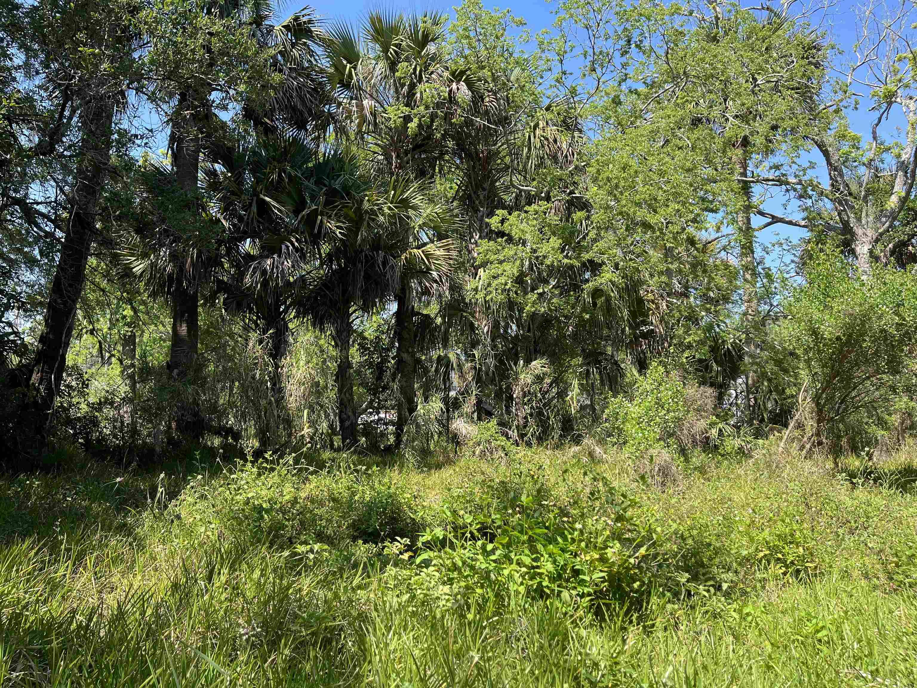 St Augustine, FL 32084,127 Riberia St