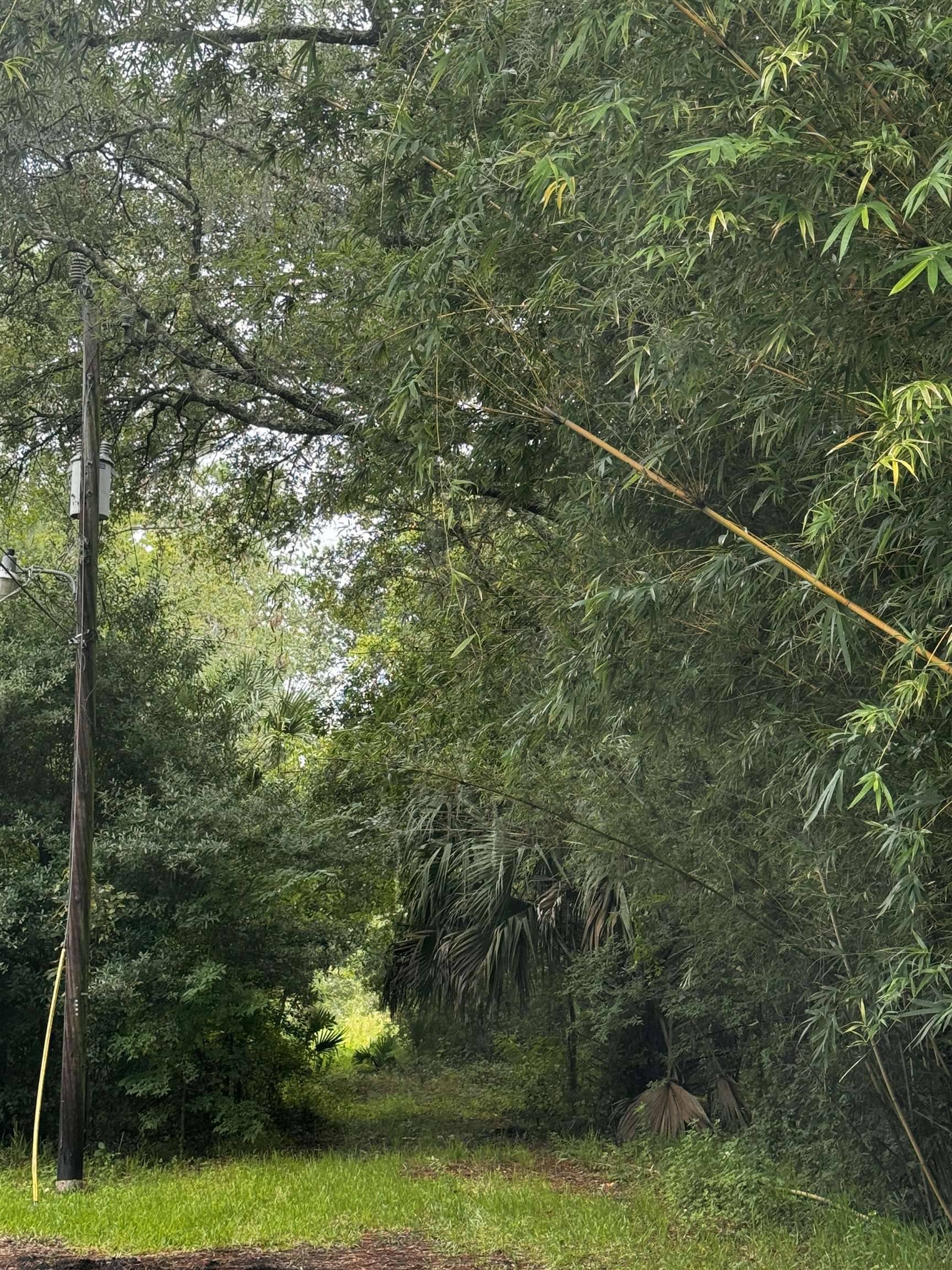 St Augustine, FL 32084,0 W 10th Street