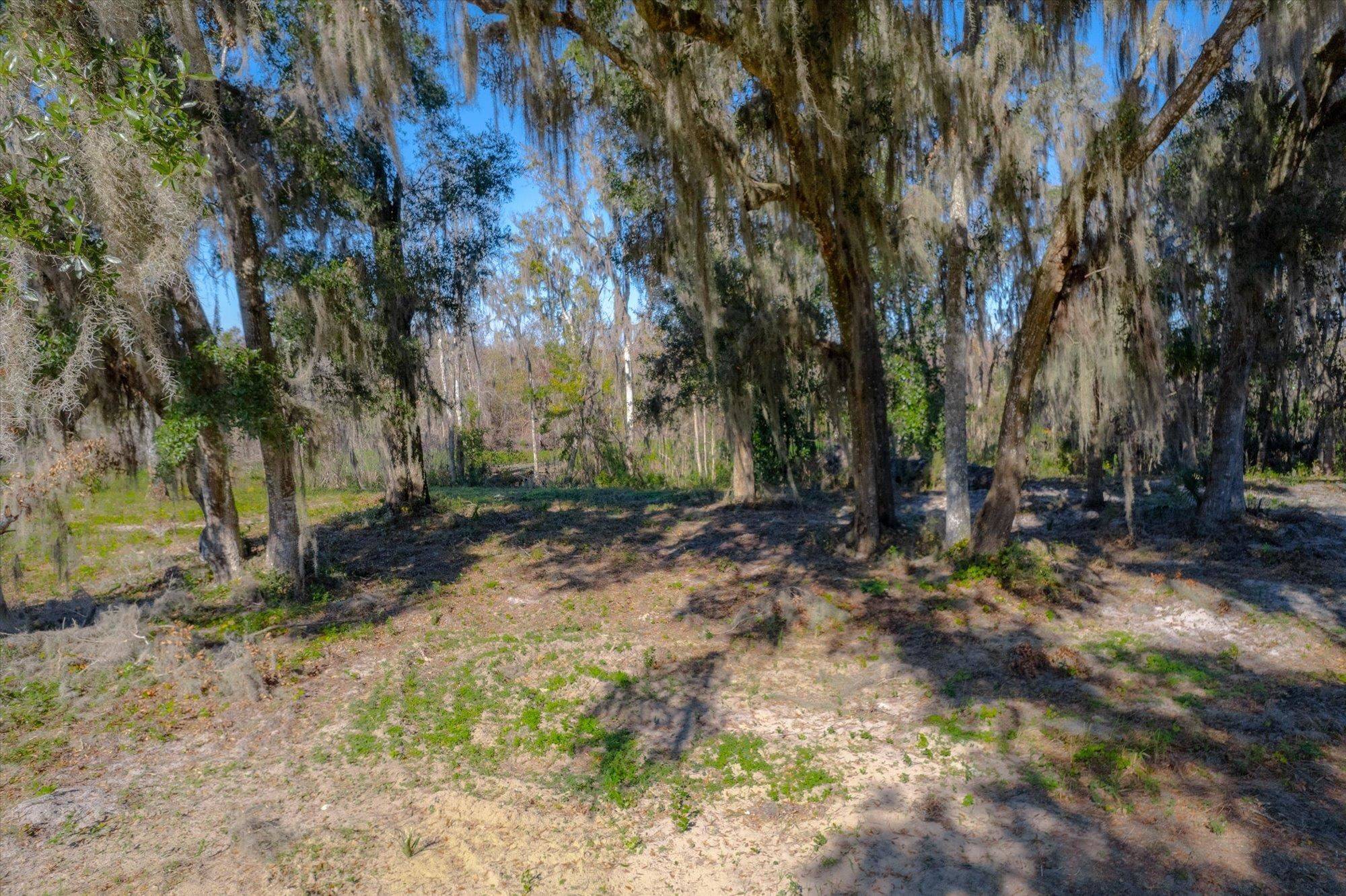 Satsuma, FL 32189,114 Ridgeline Avenue