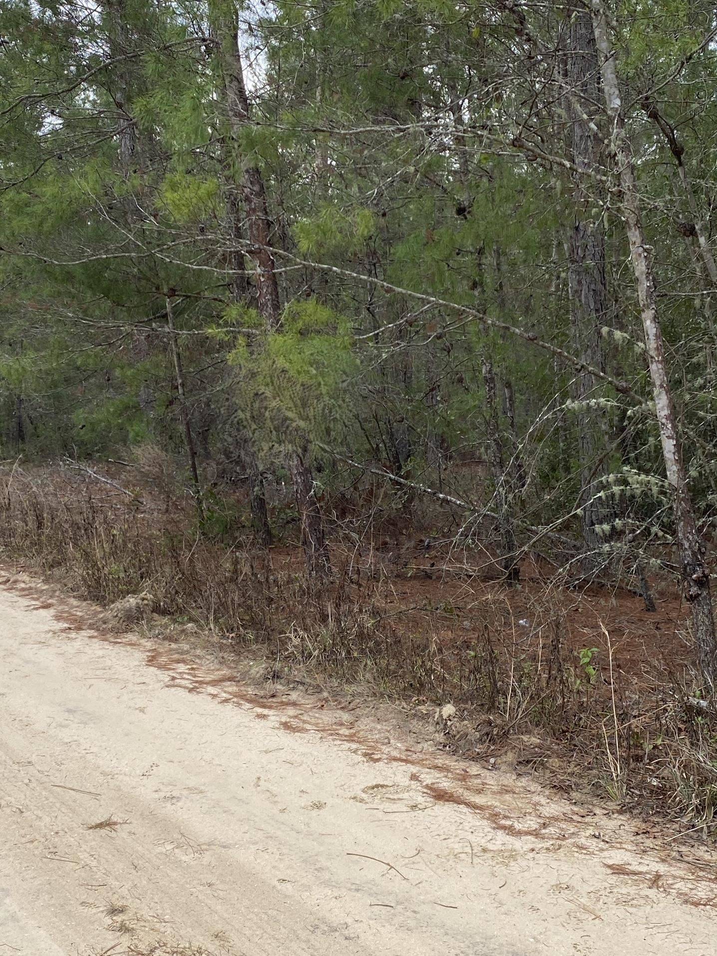 Florahome, FL 32140,211 Suge Ln