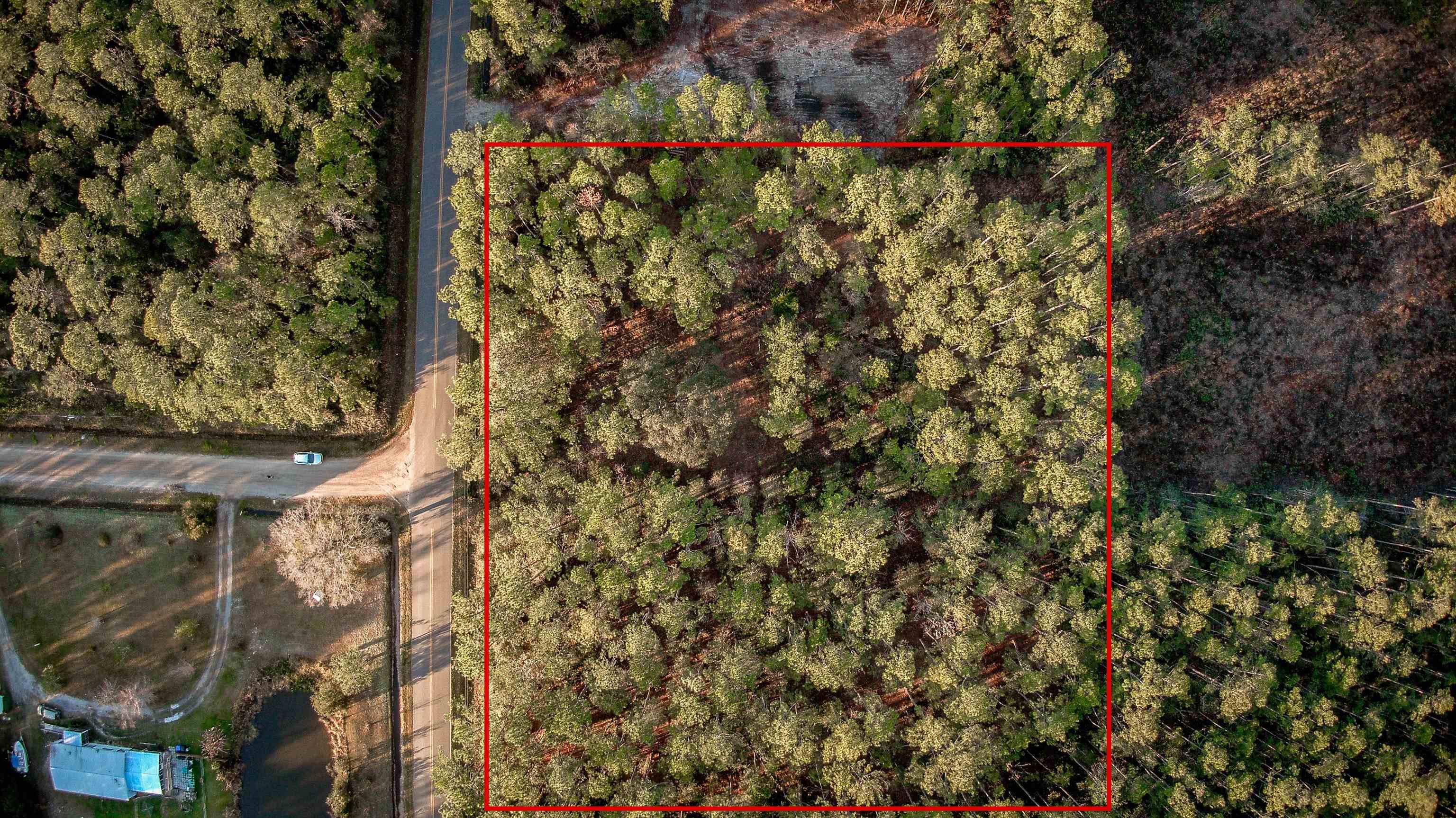 Hastings, FL 32145,10240 EBERT