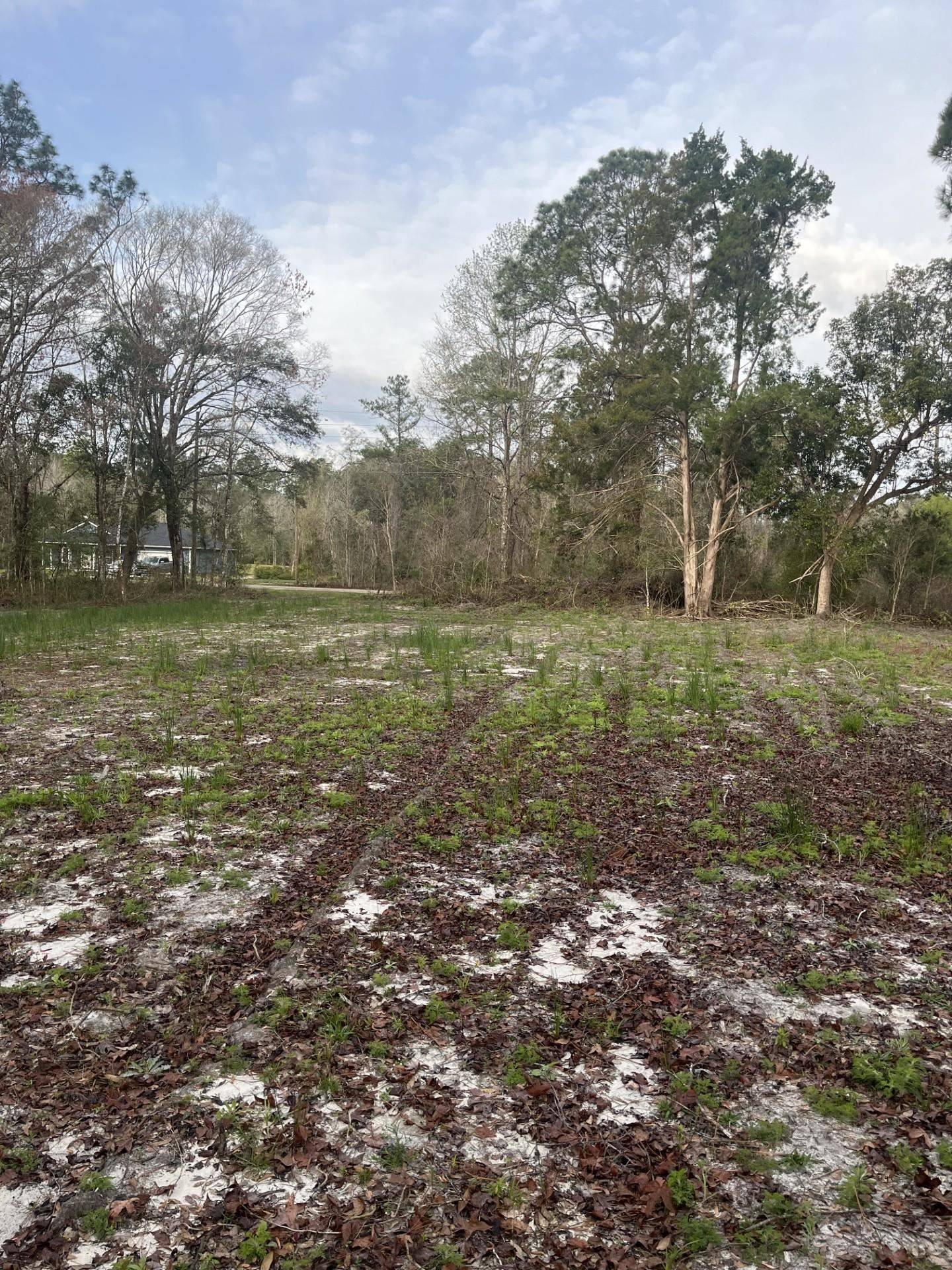 Hastings, FL 32145,10400 Yeager Ave