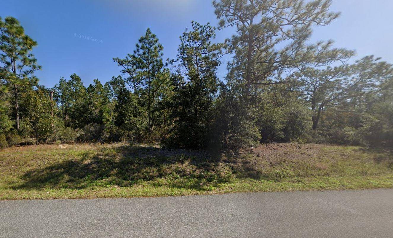 Interlachen, FL 32148,0 Francis St