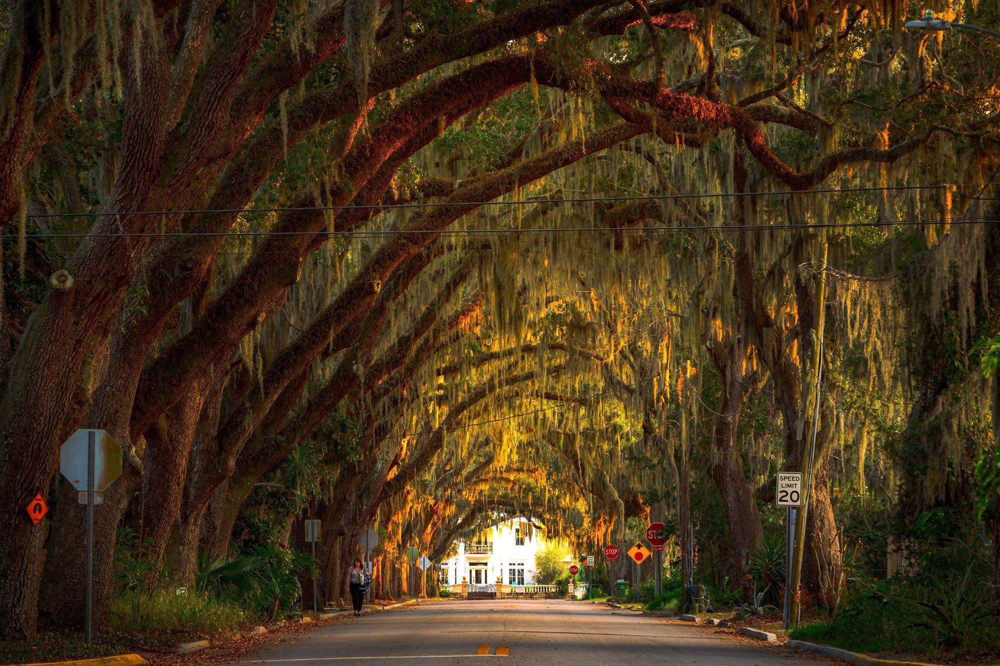 St Augustine, FL 32084,0 Magnolia Ave