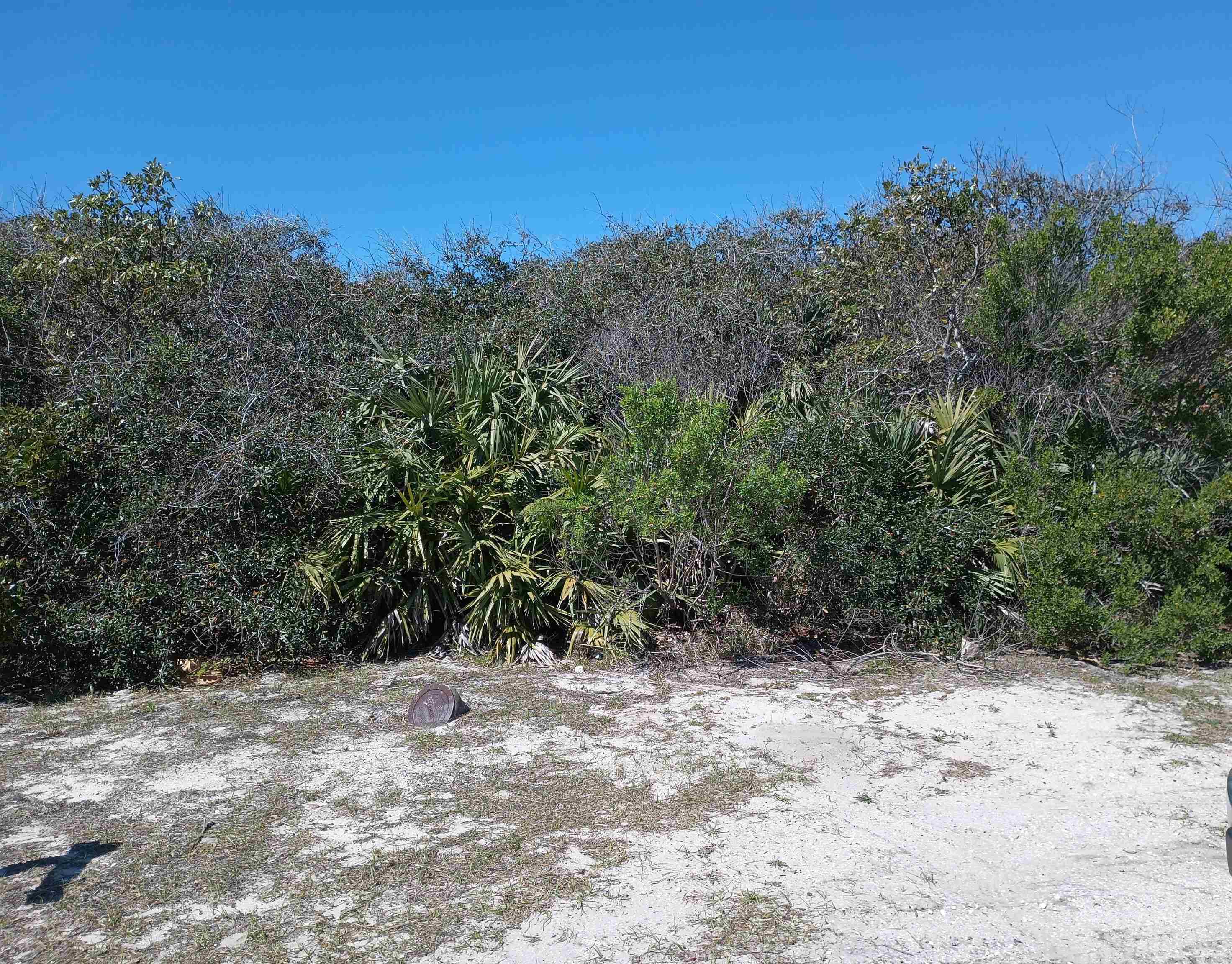 Ponte Vedra Beach, FL 32082-0000,217 Hidden Dune Ct