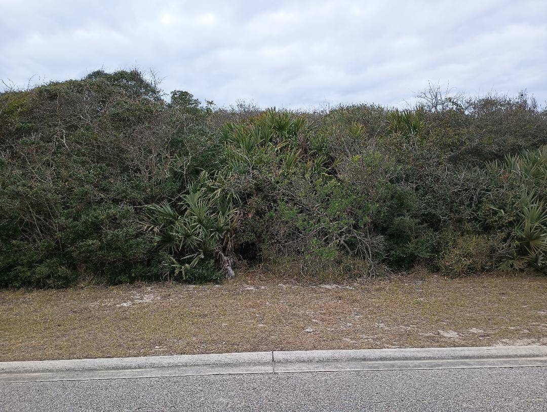 Ponte Vedra Beach, FL 32082-0000,217 Hidden Dune Ct