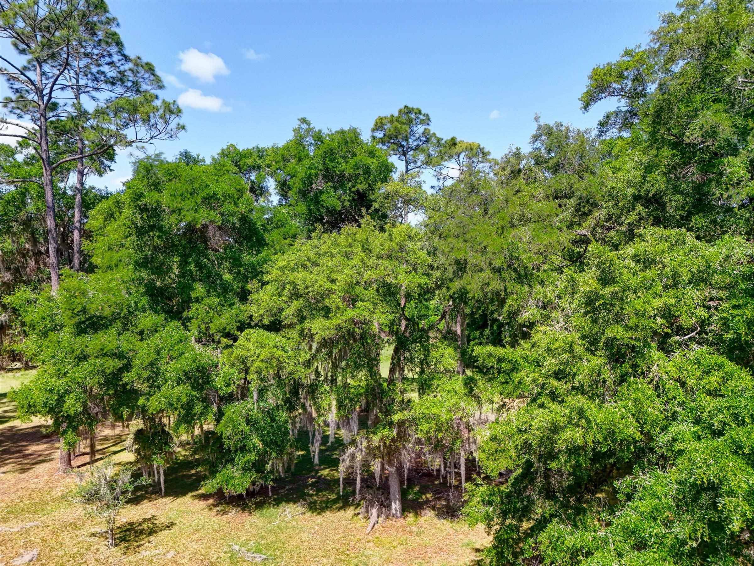 St Augustine, FL 32086,0 Carter Rd