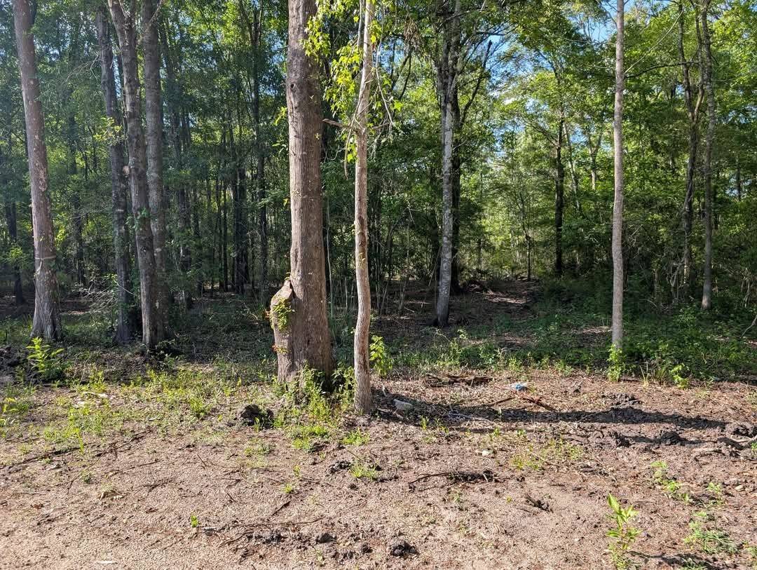 Hastings, FL 32145,5000 Palatka Blvd