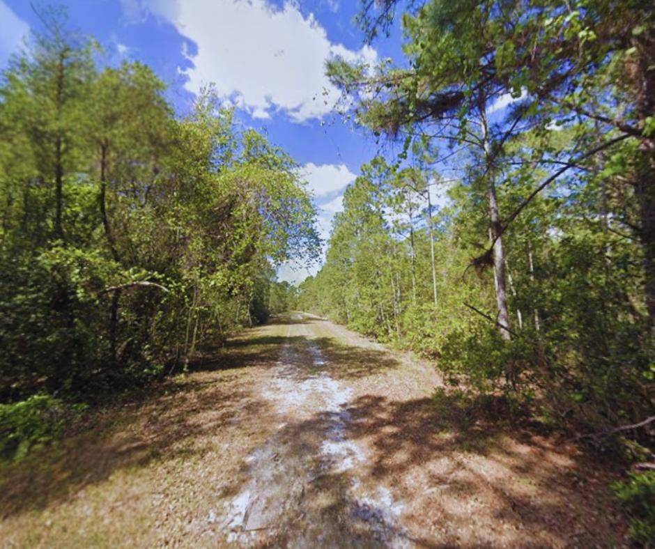 Georgetown, FL 32139,116 Terri Ave