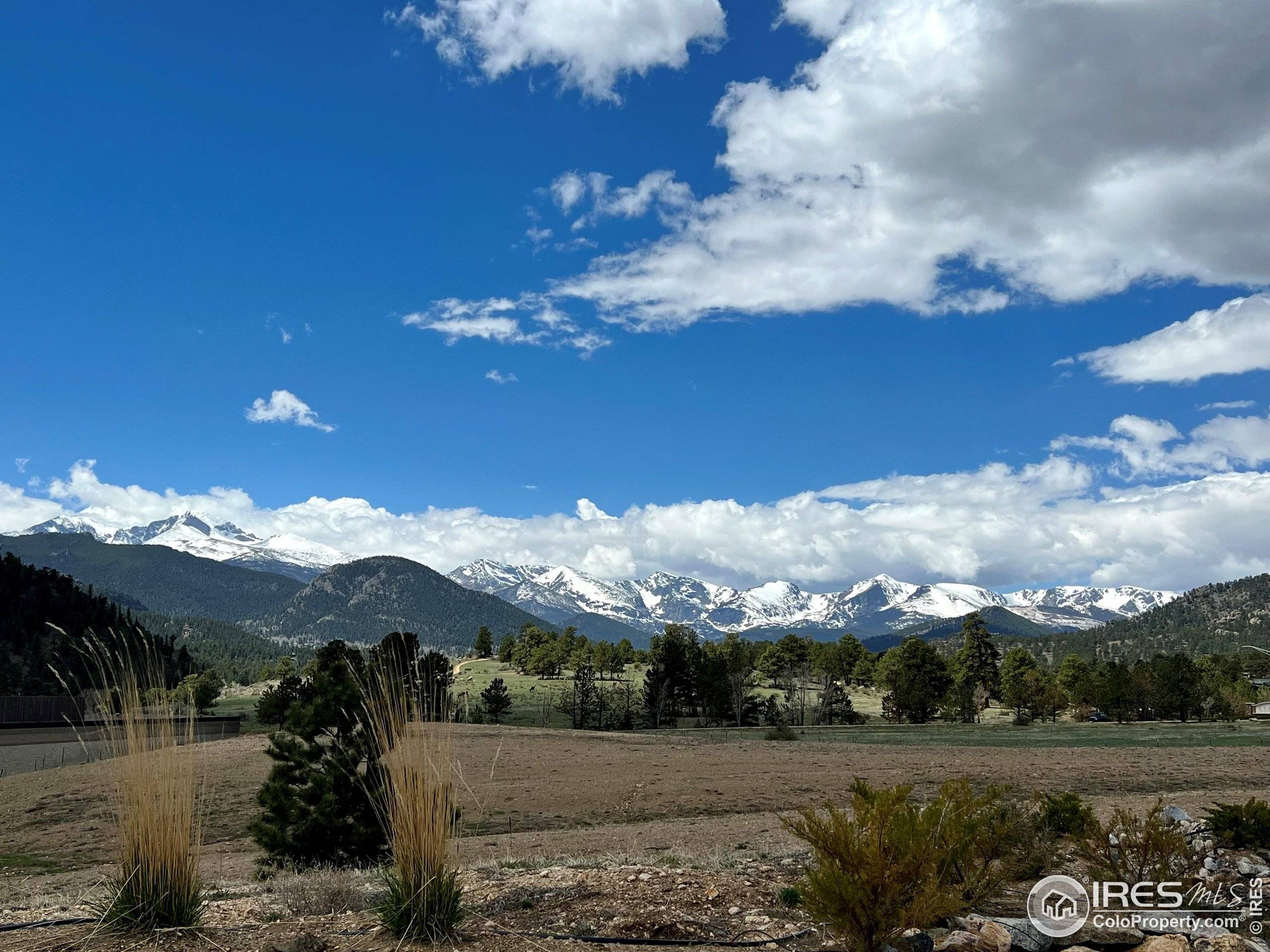 Estes Park, CO 80517,325 Overlook Ln