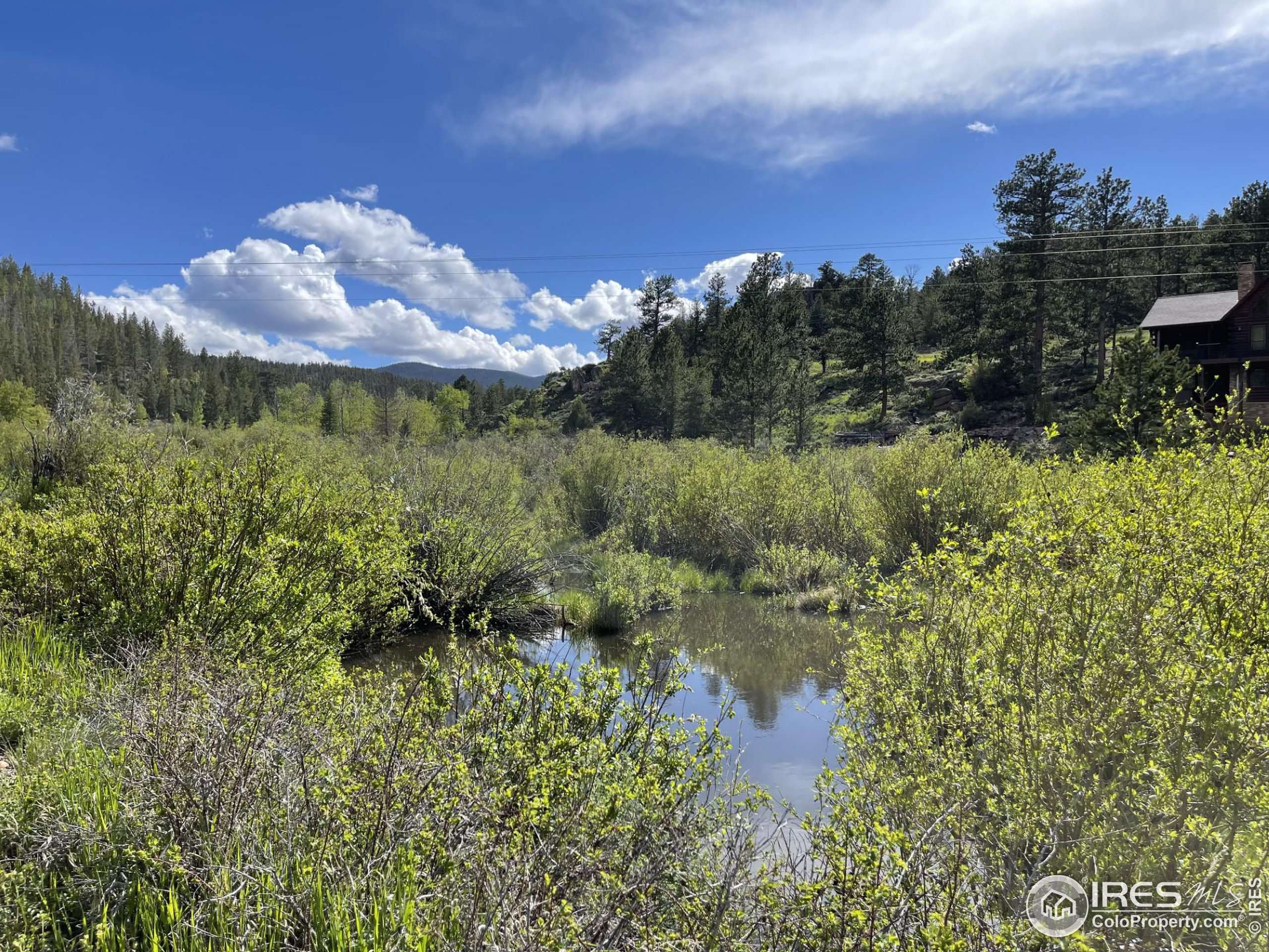 Red Feather Lakes, CO 80545,53 Ada Ct