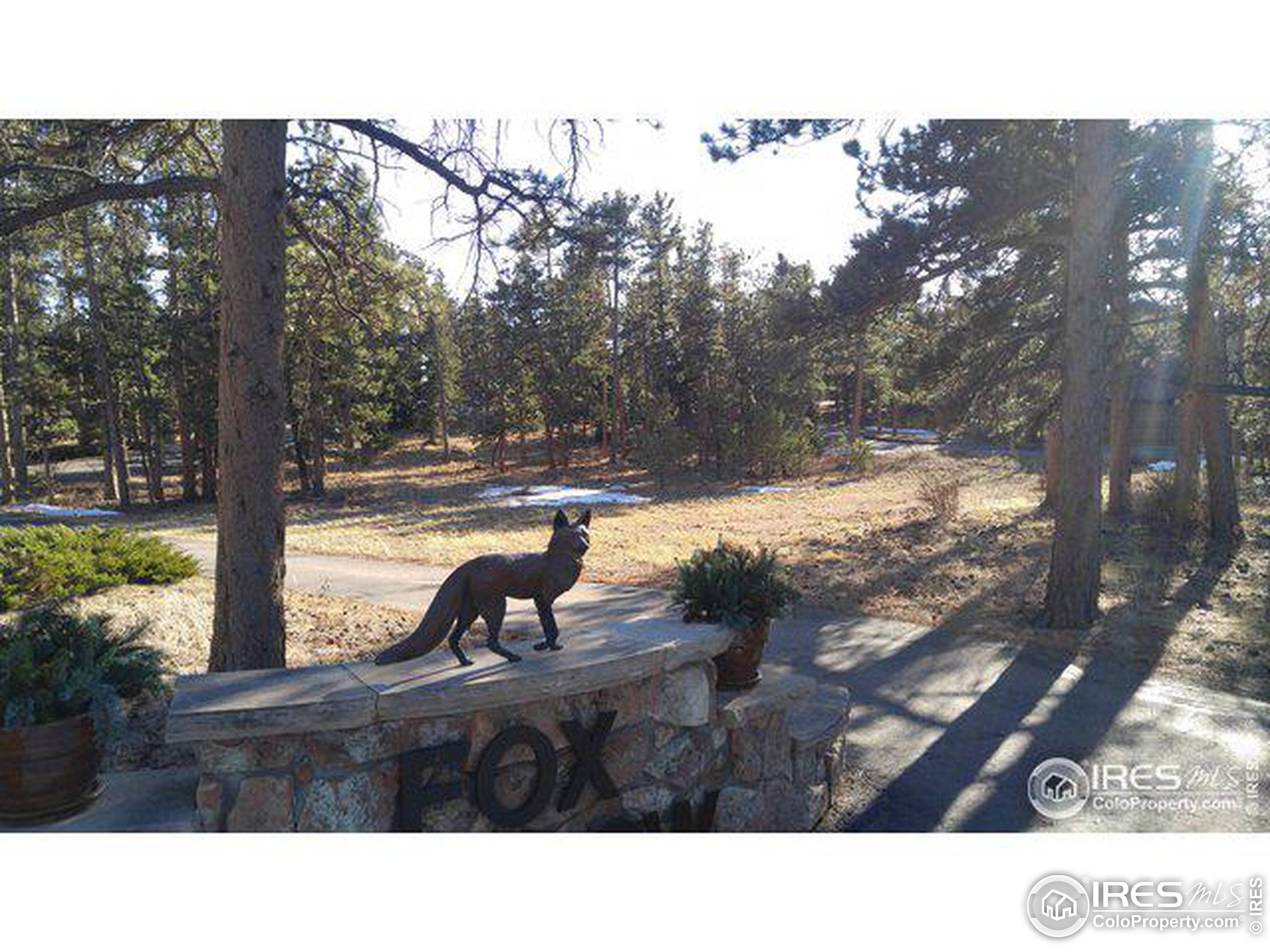 Red Feather Lakes, CO 80545,0 E Fox Acres Dr