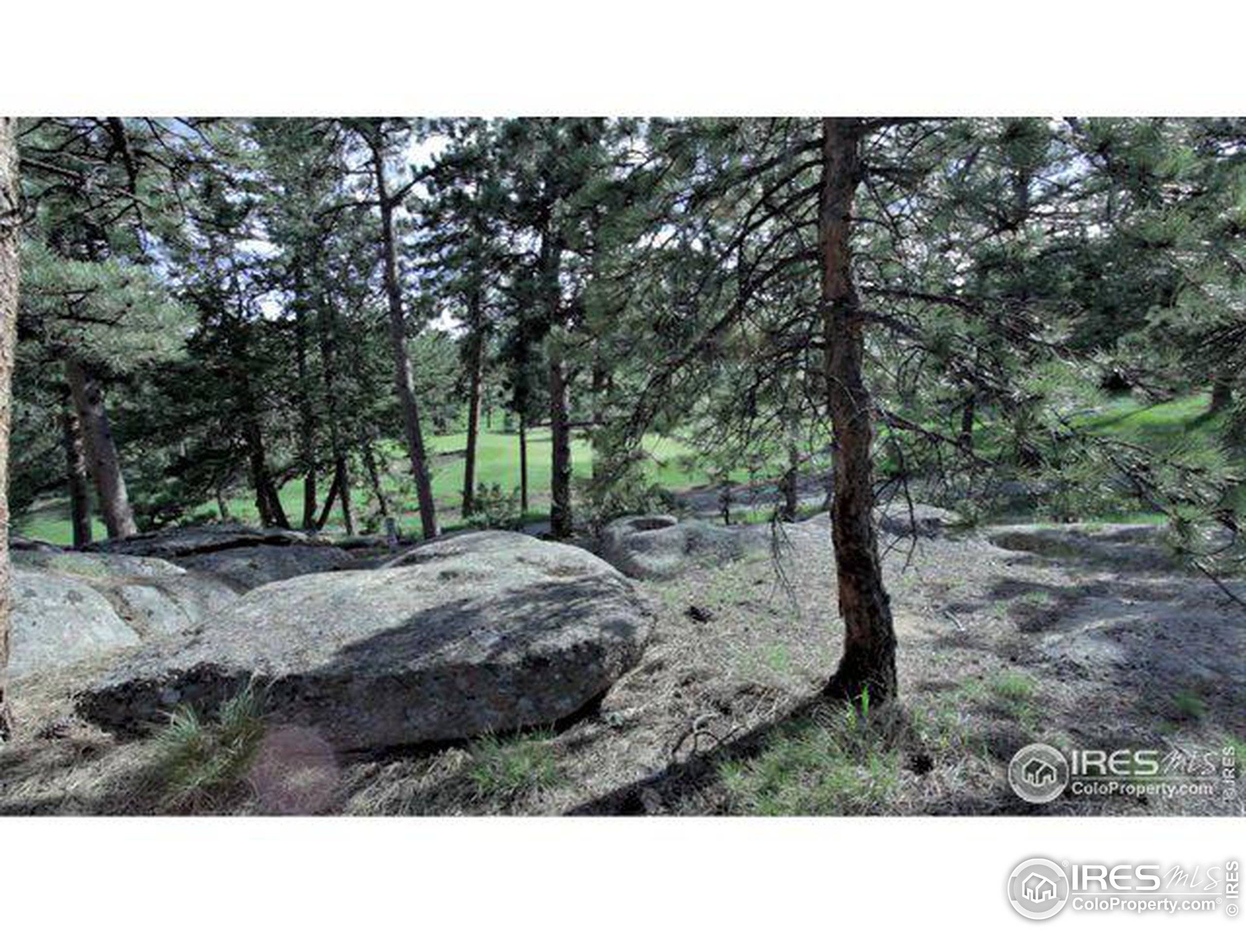 Red Feather Lakes, CO 80545,530 W Fox Acres Dr