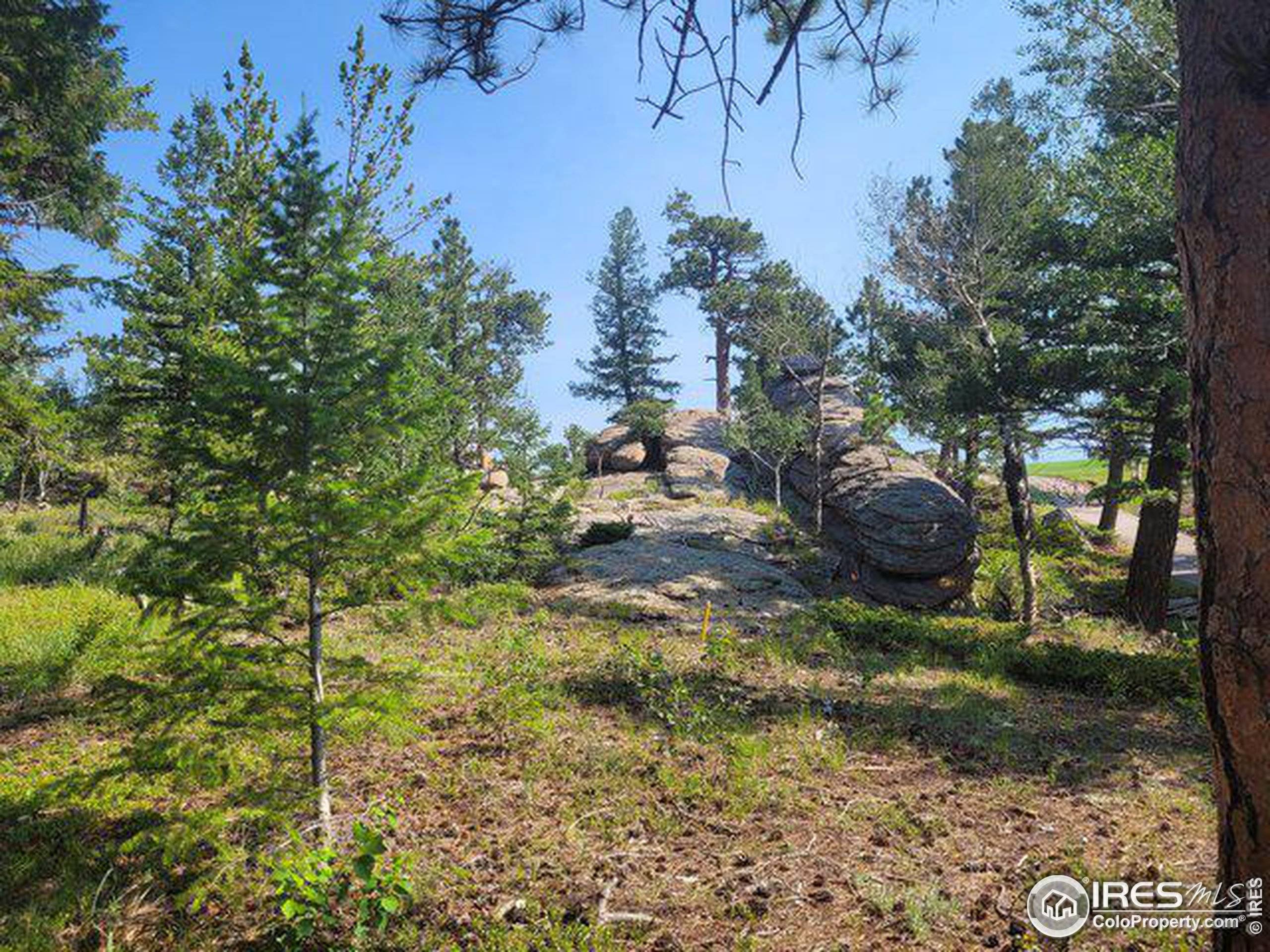 Red Feather Lakes, CO 80545,612 W Fox Acres Dr