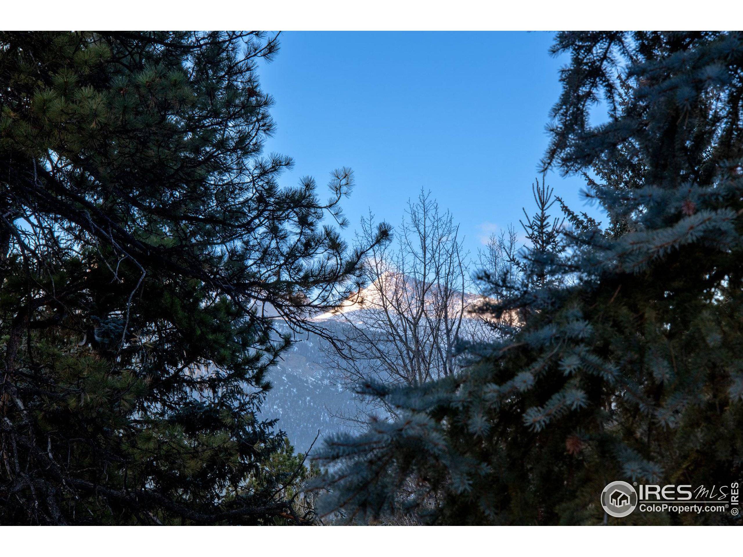 Estes Park, CO 80517,2391 Wild Bear Way