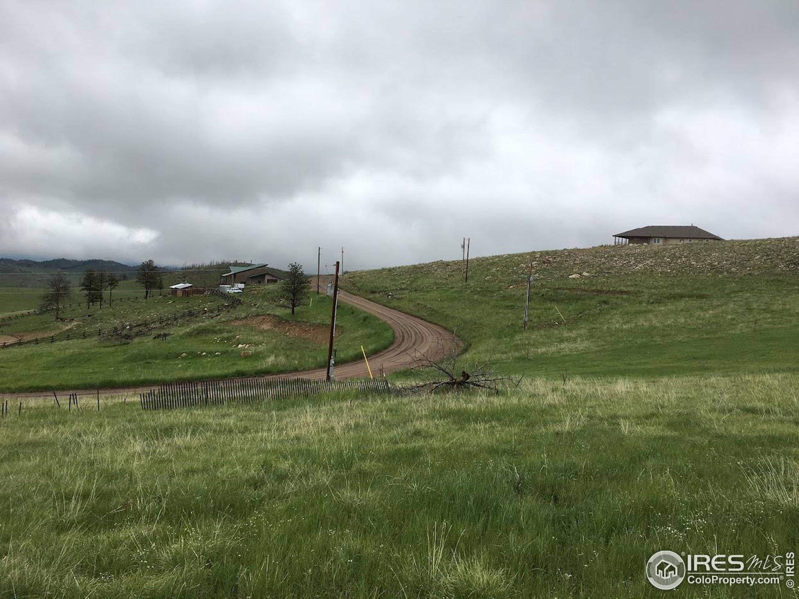 Livermore, CO 80536,64 Bobcat Mountain Ct