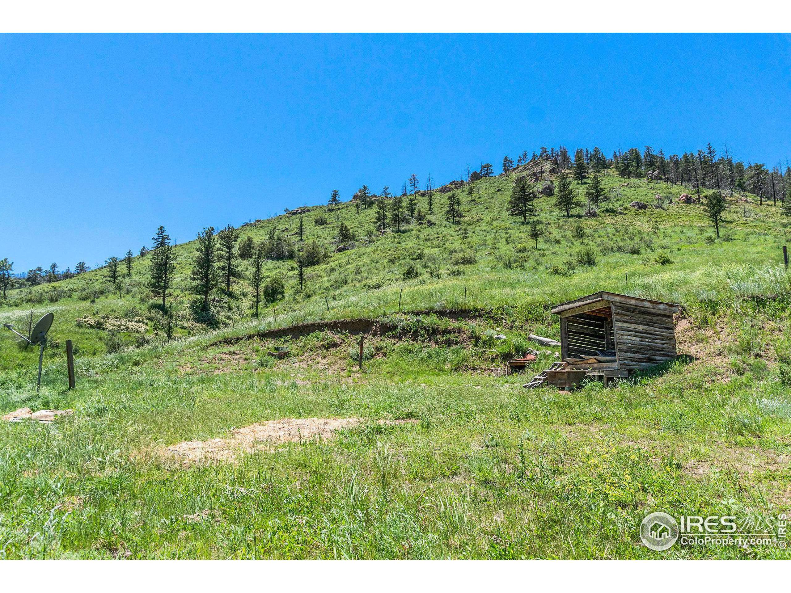 Bellvue, CO 80512,21 Snow Drop Ln