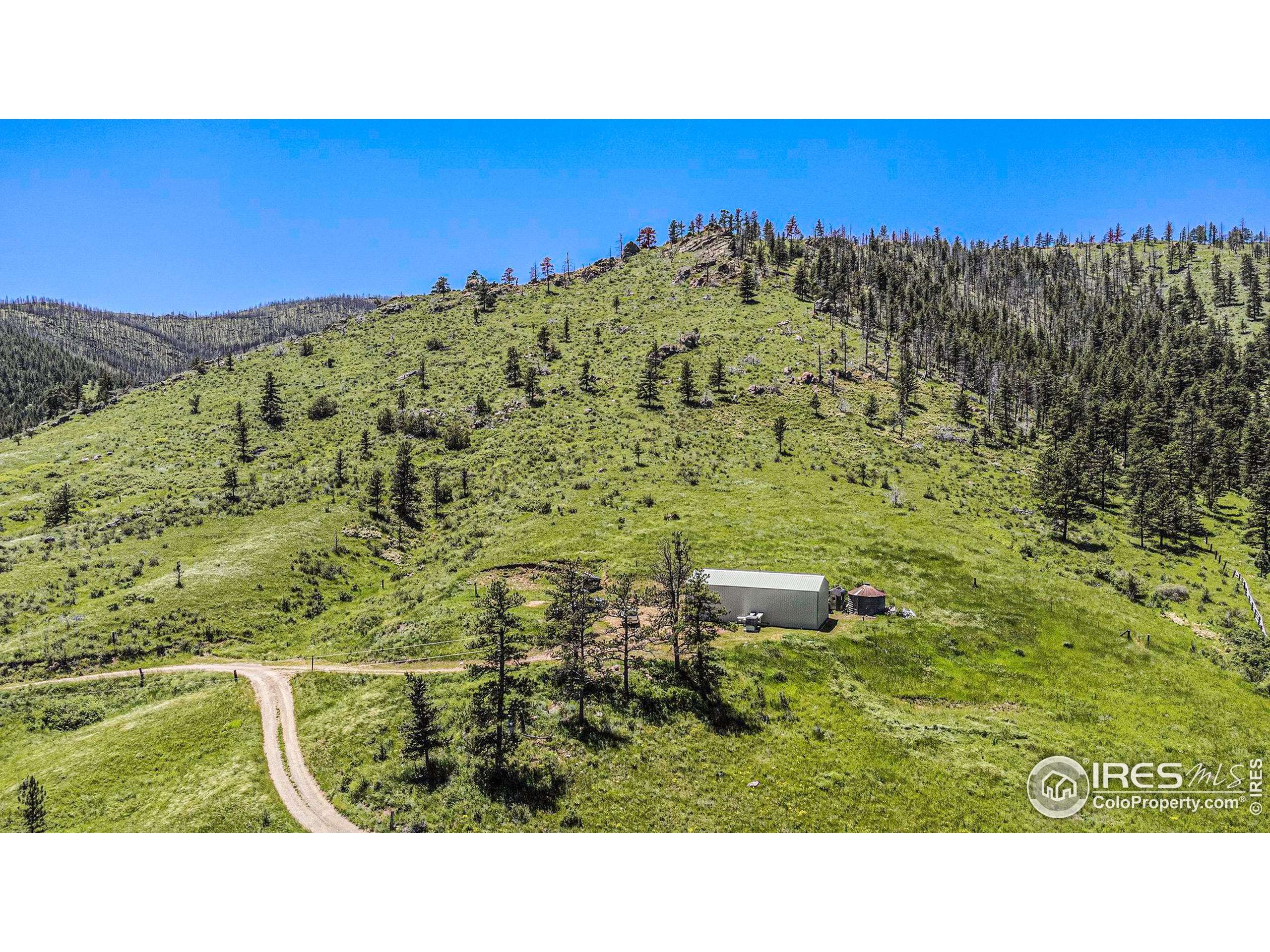 Bellvue, CO 80512,21 Snow Drop Ln