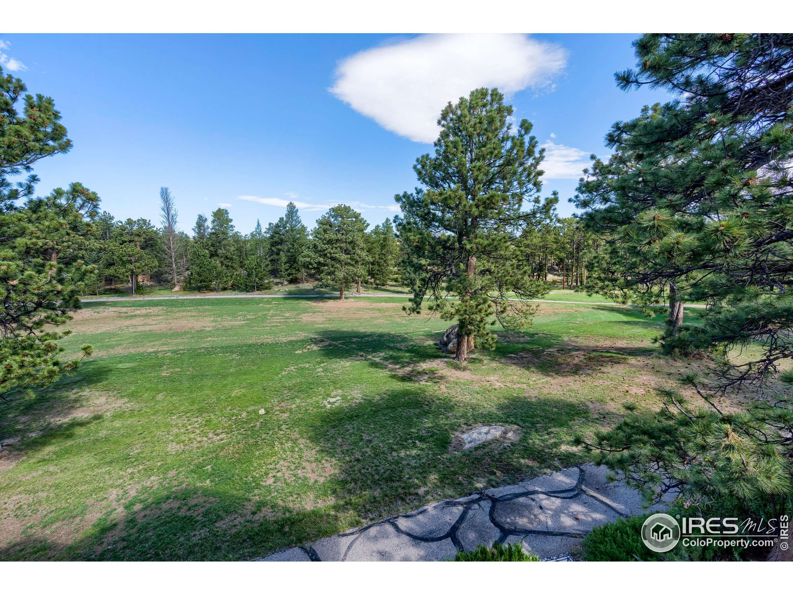 Red Feather Lakes, CO 80545,400 Fox Acres Dr W