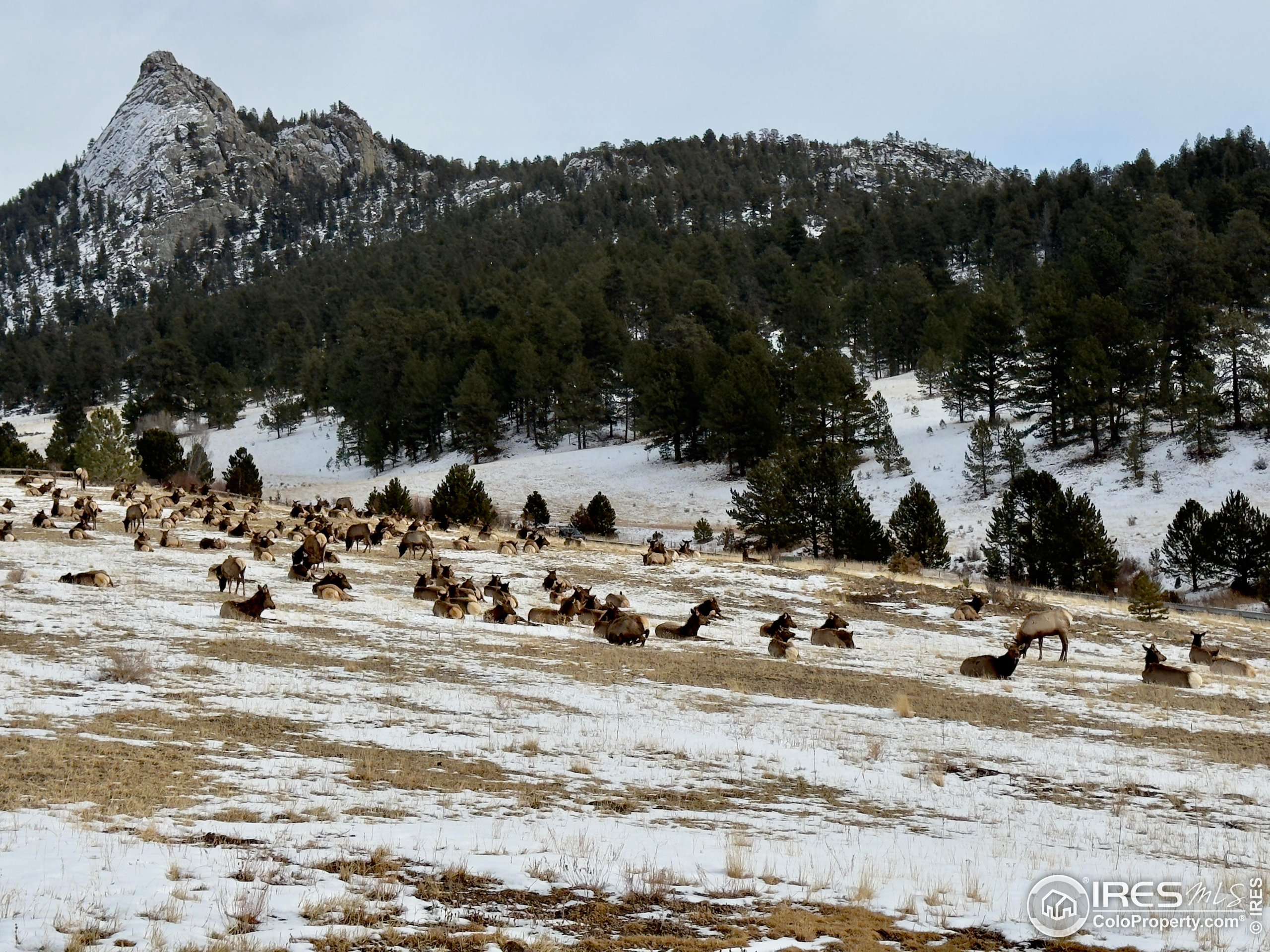 Estes Park, CO 80517,2005 Kendall Dr