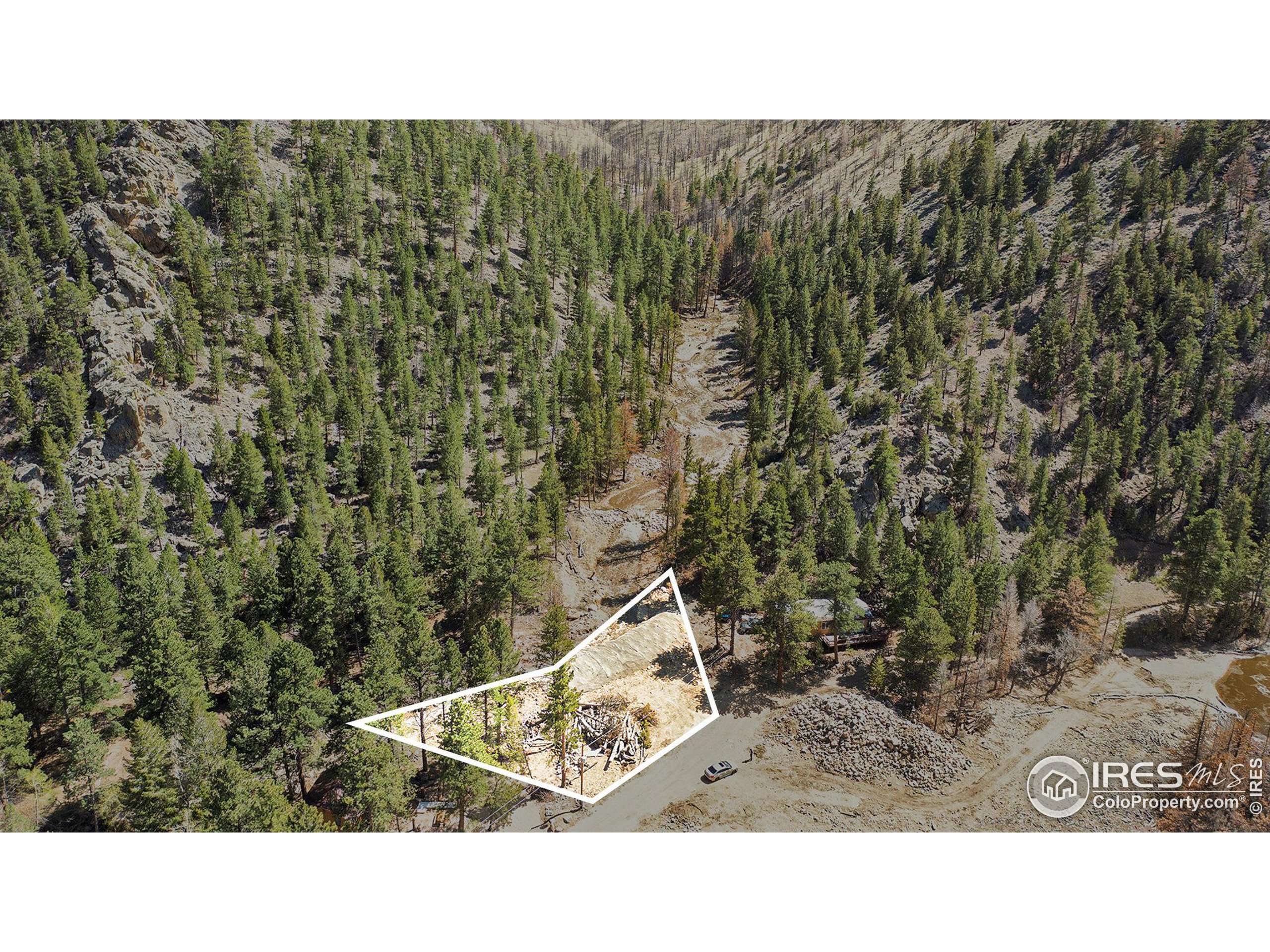 Bellvue, CO 80512,120 Black Hollow Rd