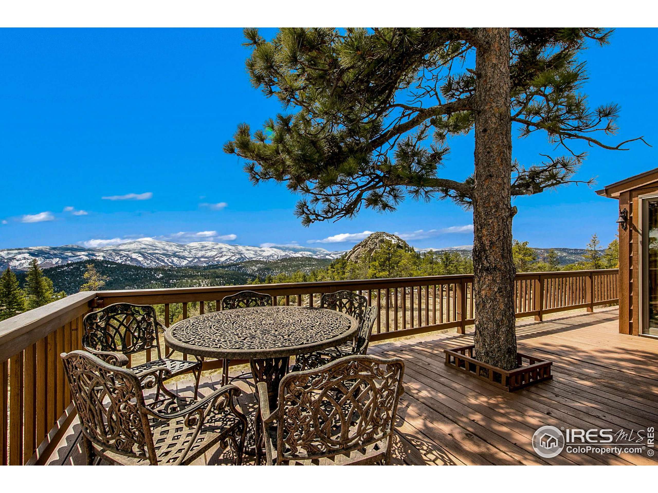 Livermore, CO 80536,131 Mount Apiatan Ct