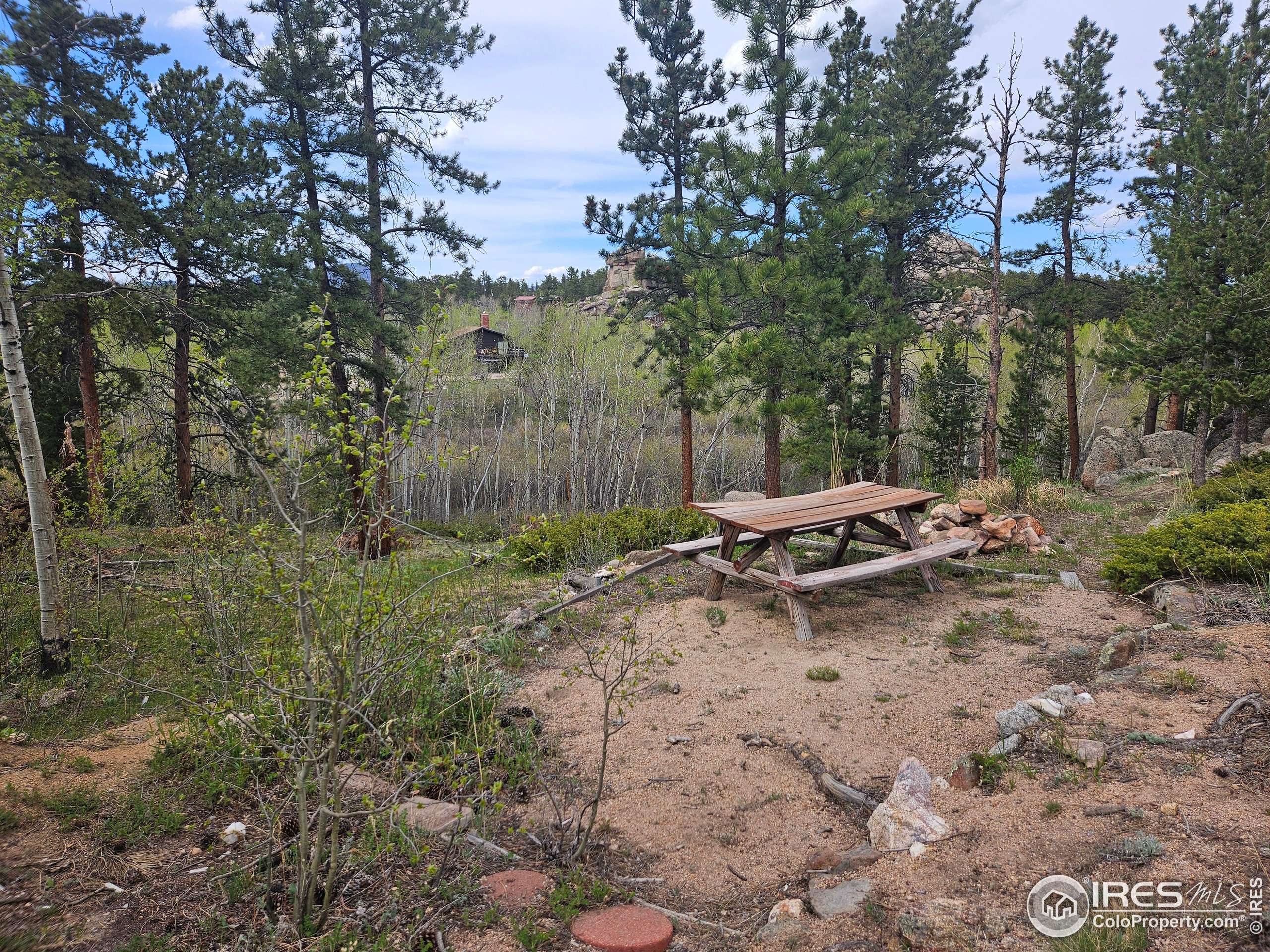 Red Feather Lakes, CO 80545,53 Peace Settler Ct