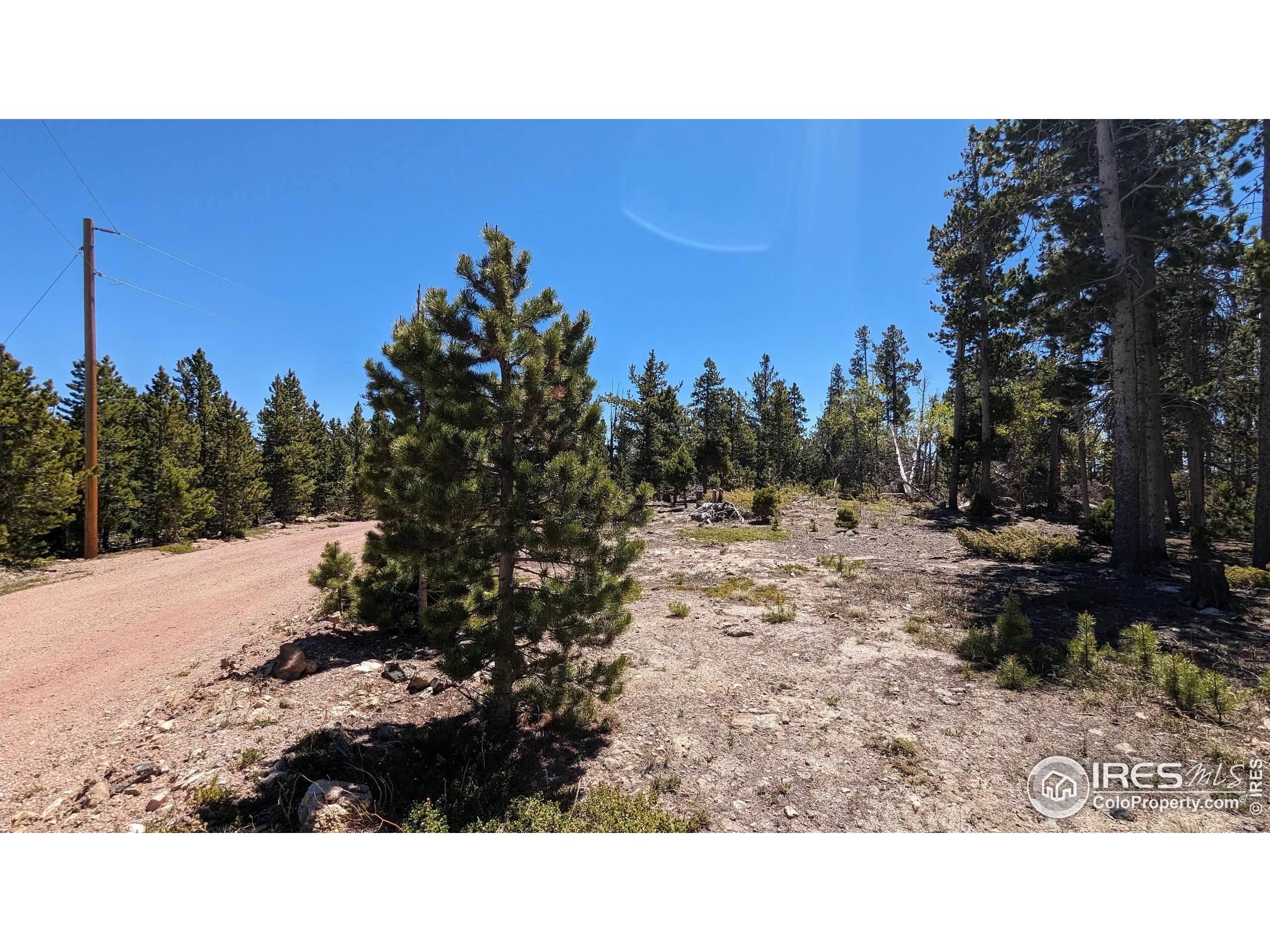 Red Feather Lakes, CO 80545,37 Shasta Way