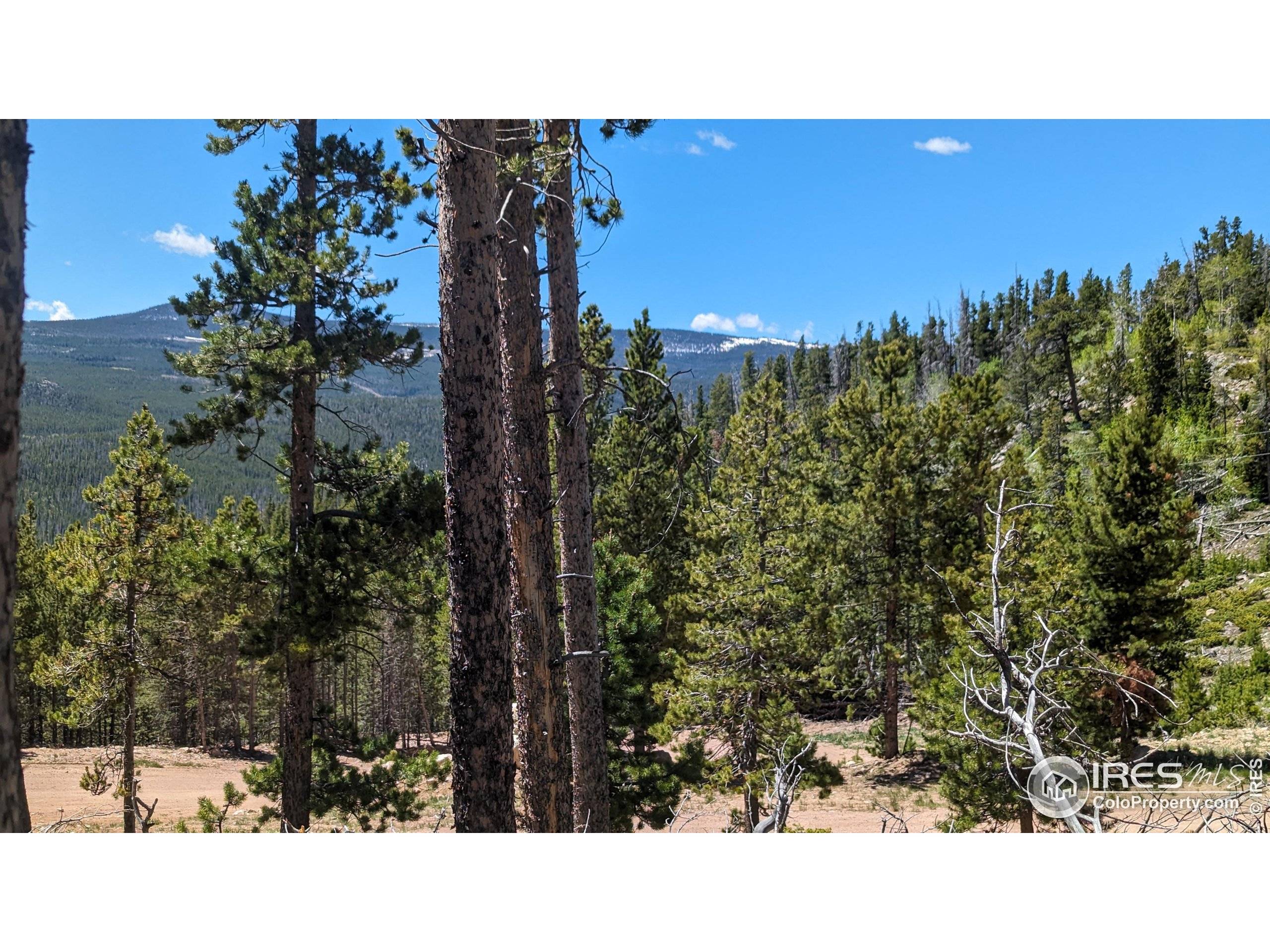 Red Feather Lakes, CO 80545,37 Shasta Way