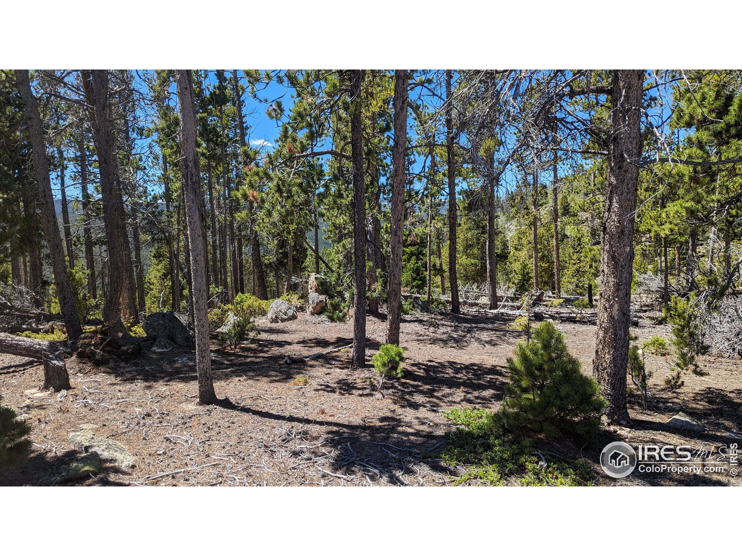 Red Feather Lakes, CO 80545,37 Shasta Way