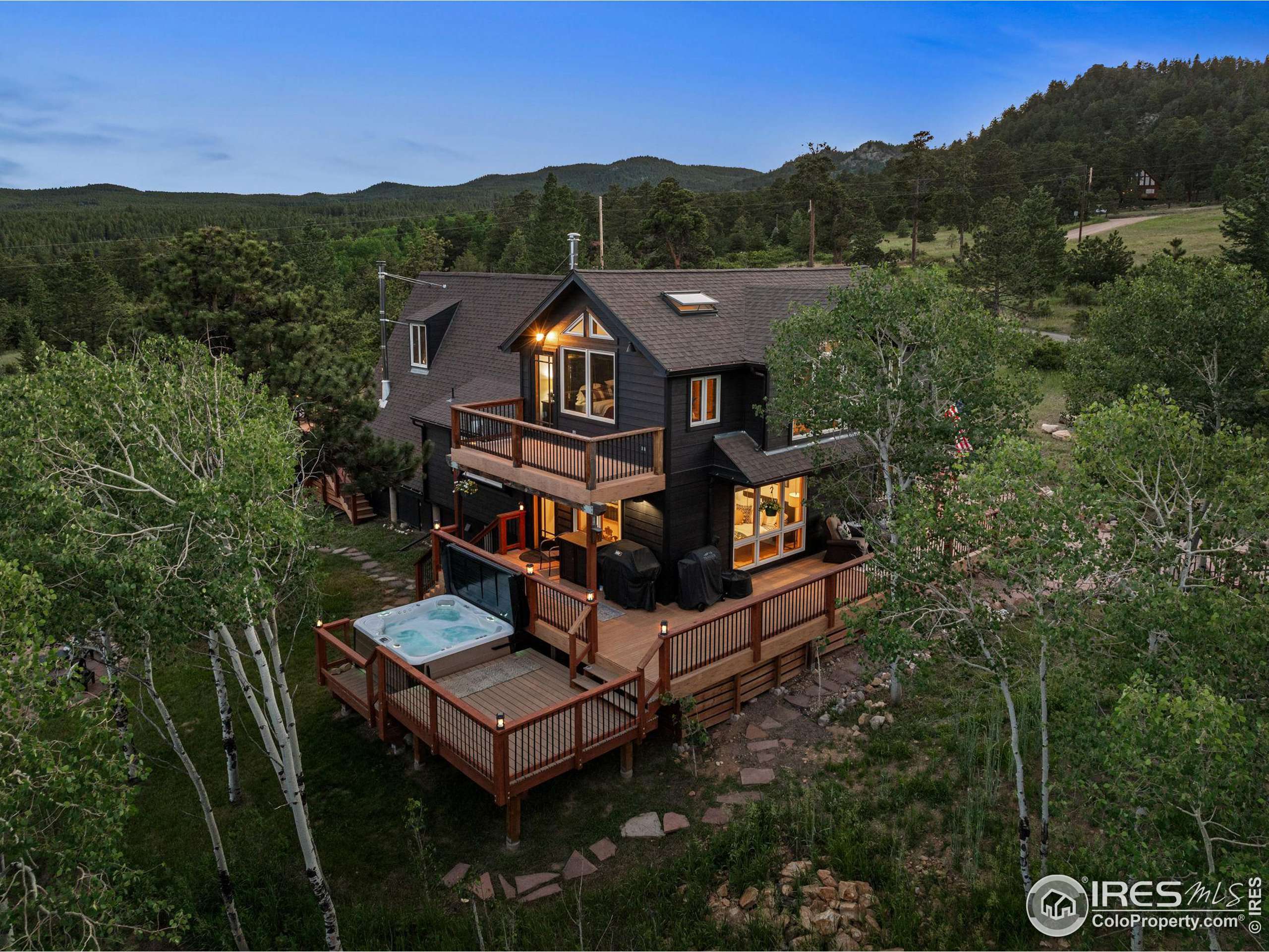 Nederland, CO 80466,73 Aspen Meadows Rd