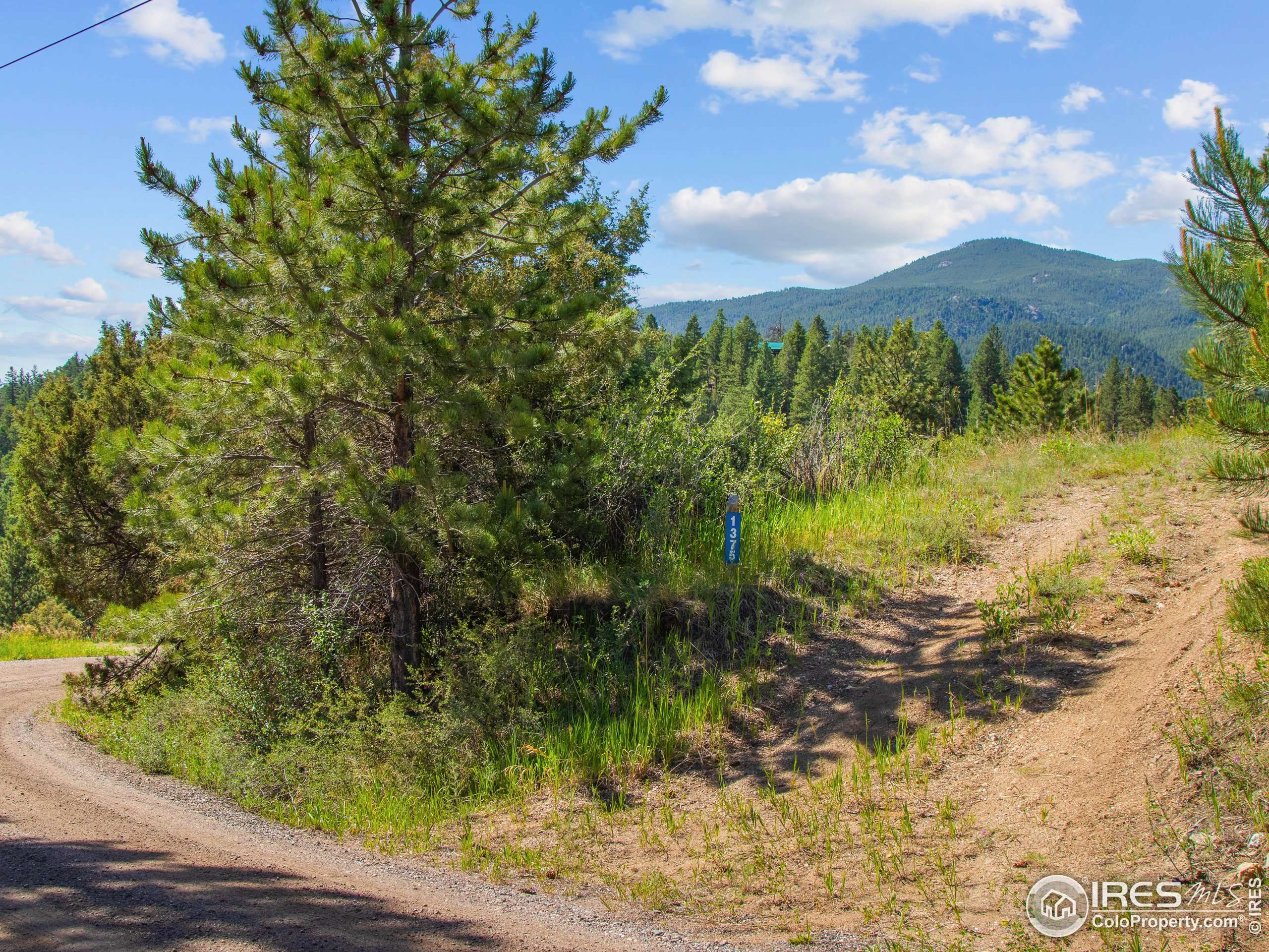 Glen Haven, CO 80532,1375 Streamside Dr