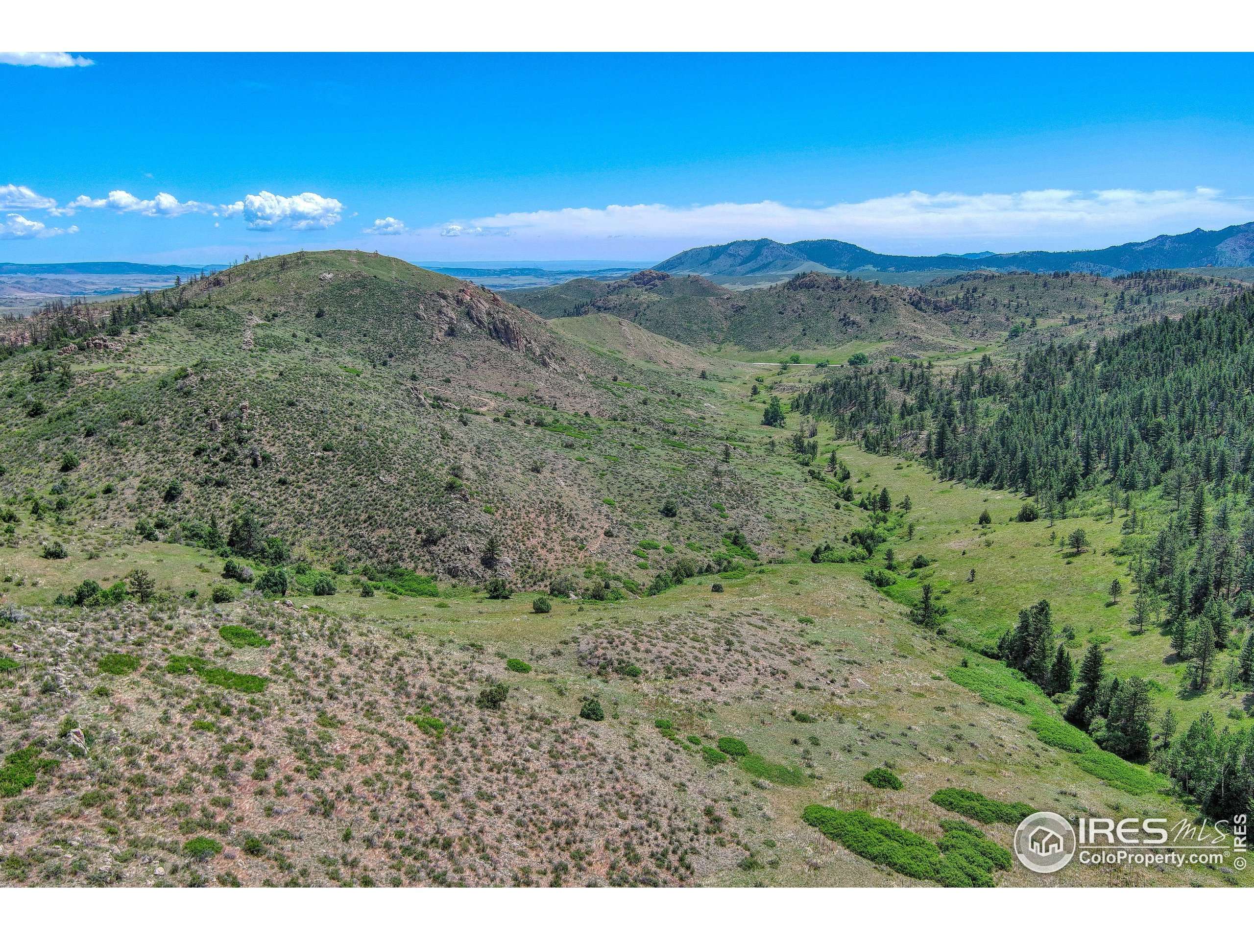 Livermore, CO 80536,0 Mt Simon Rd